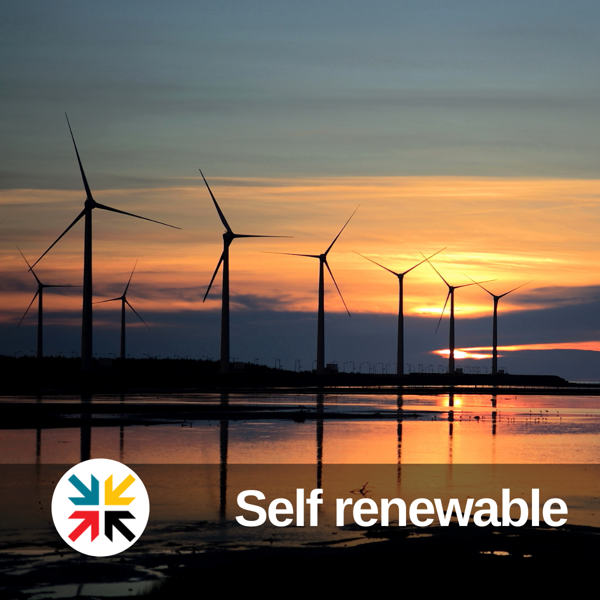 Self-renewable
