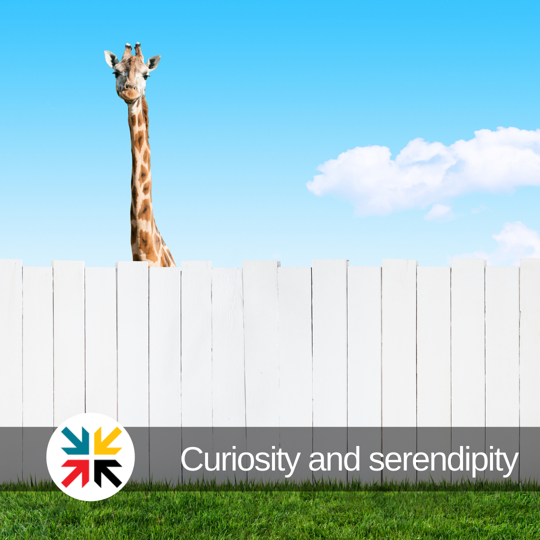 Curious Serendipity