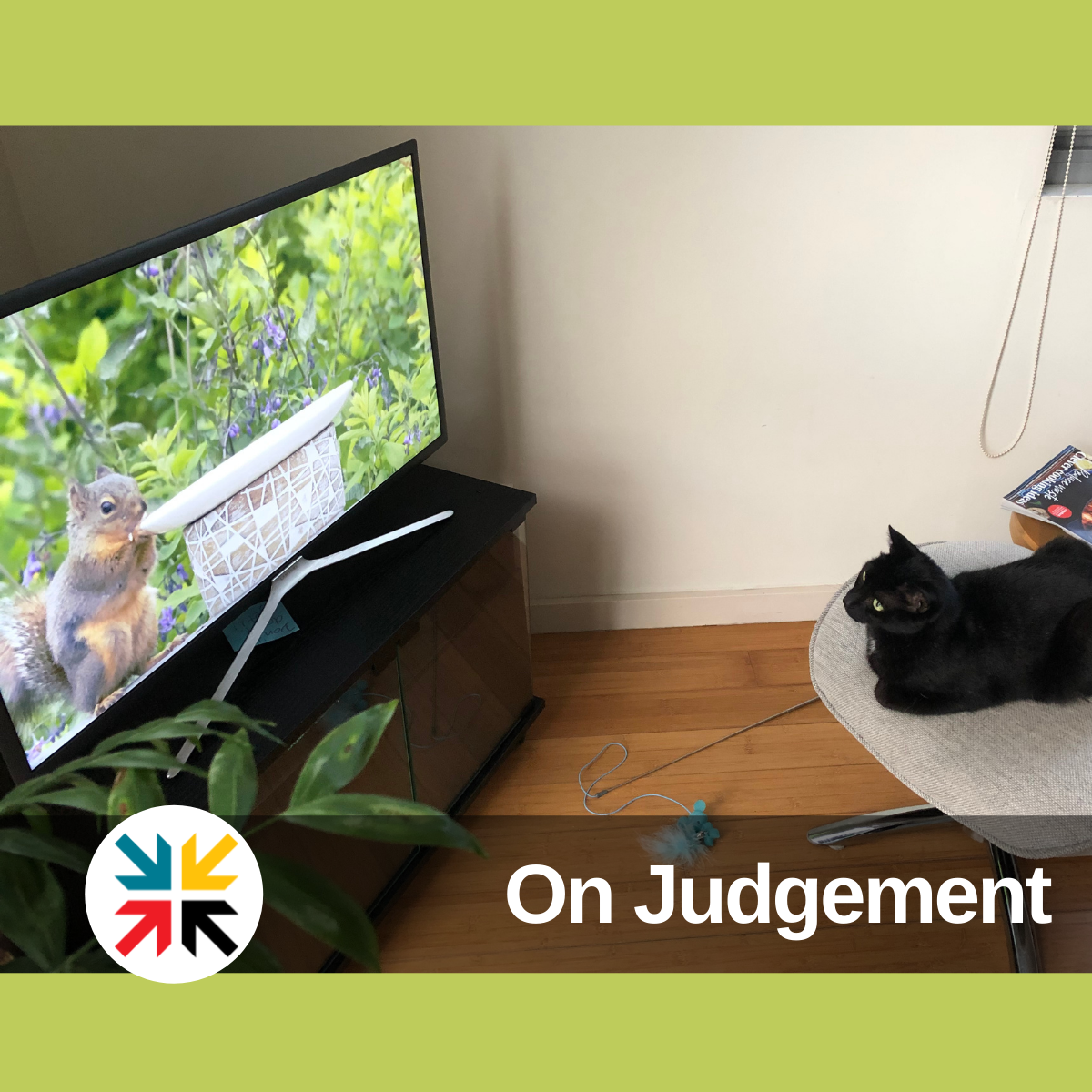 On Judgement
