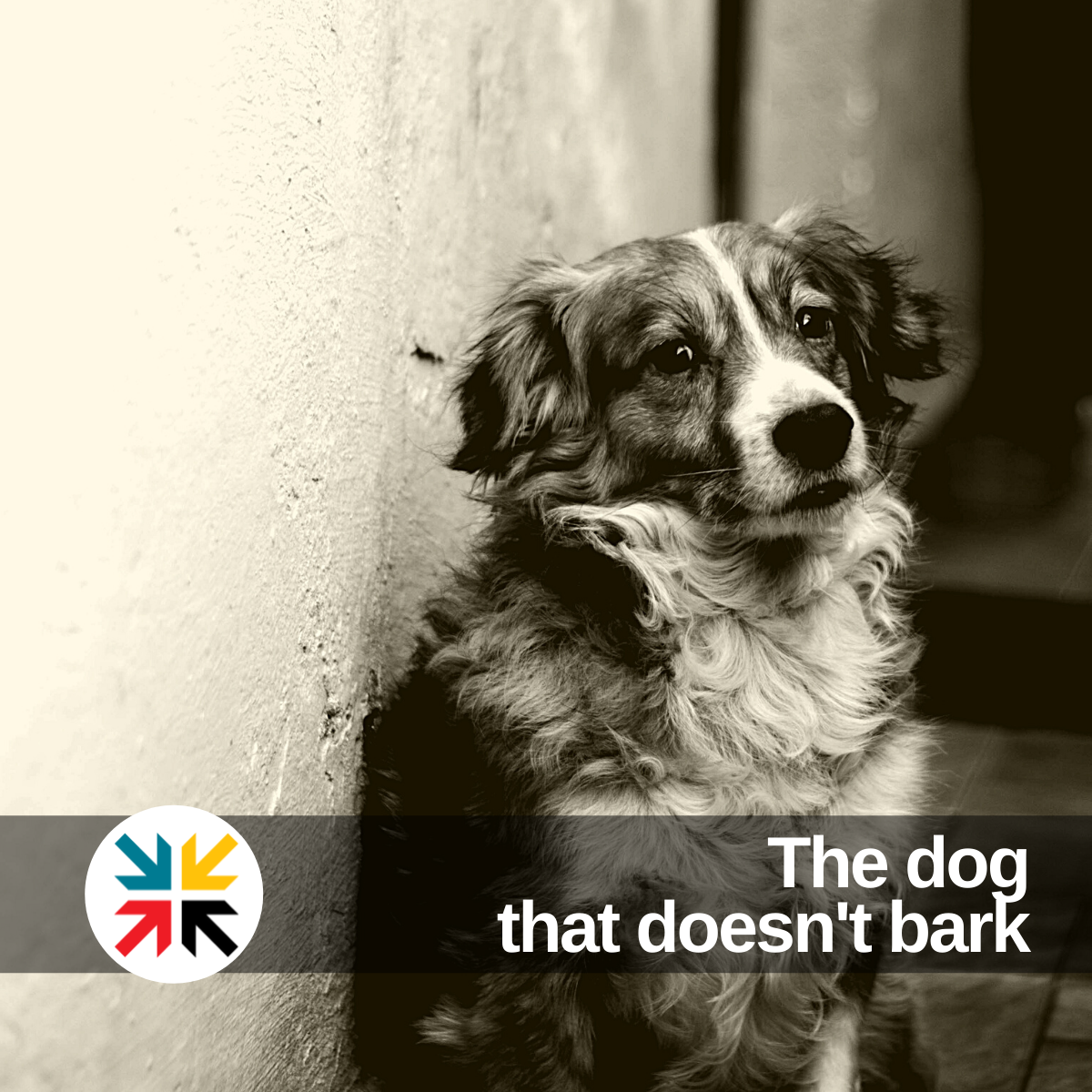 The dog that doesn't bark