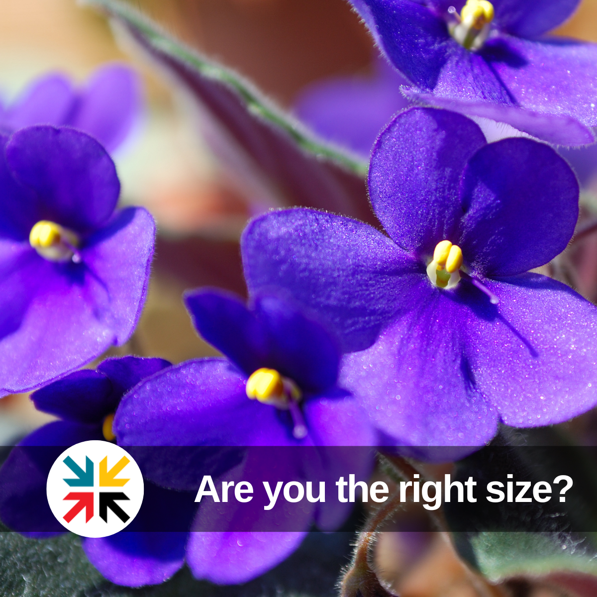 Are you the right size?