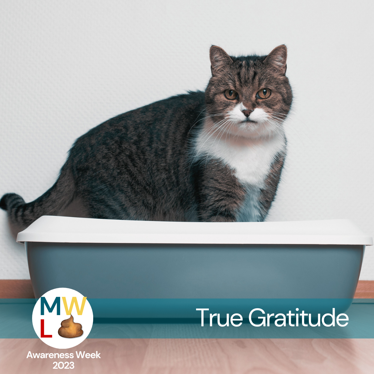 True Gratitude