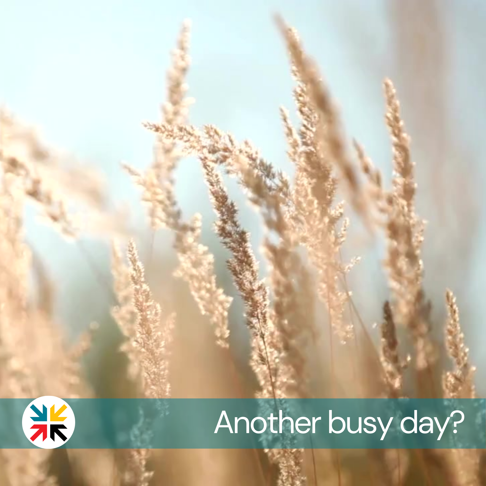 Another busy day