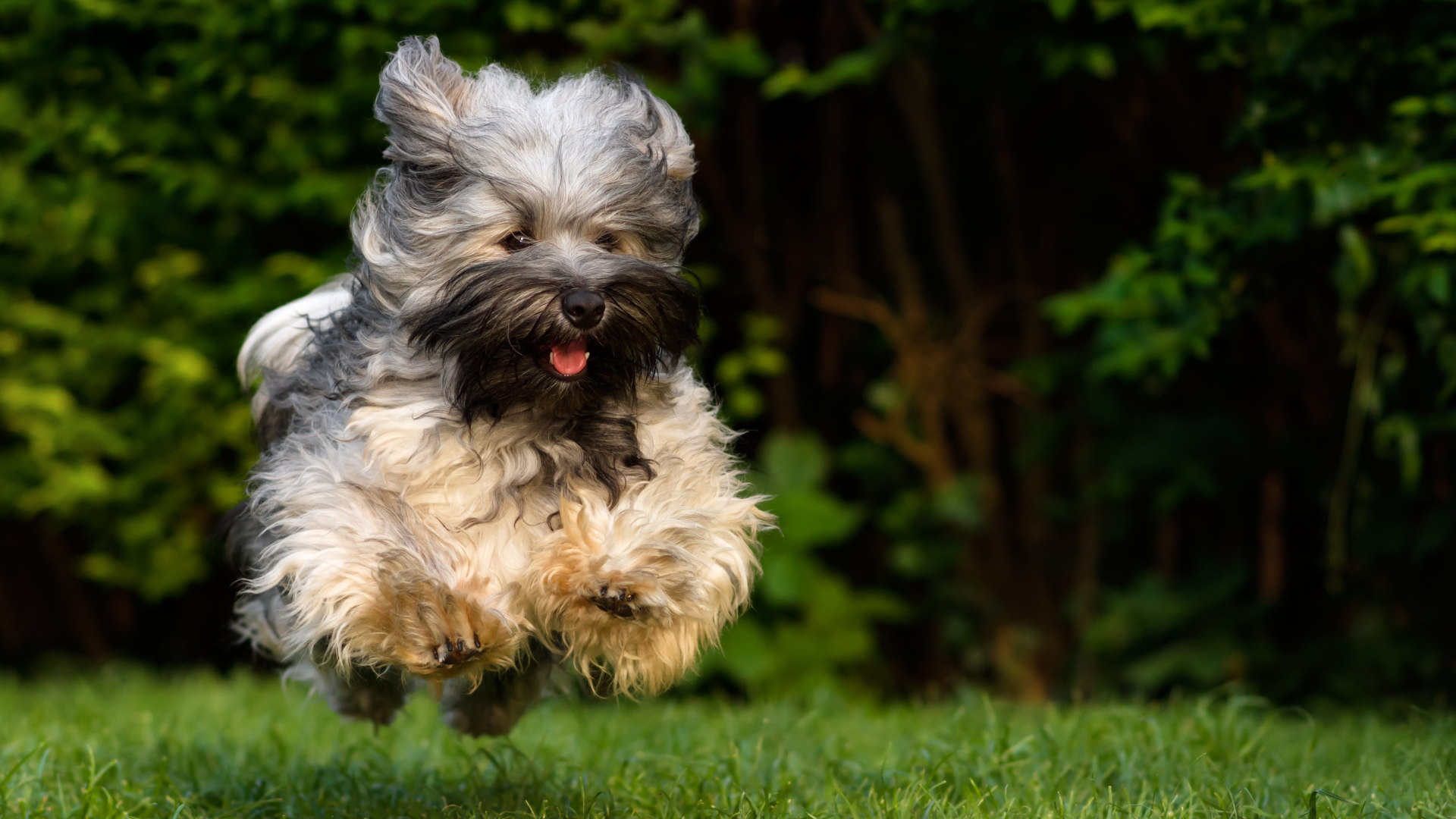 Running away and running towards.
