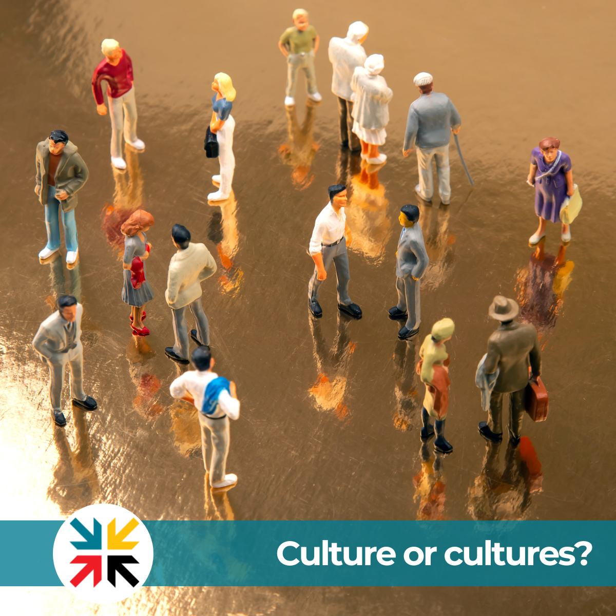 Culture or cultures?