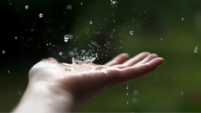 Surrender and catch: thriving in our unpredictable workplaces.