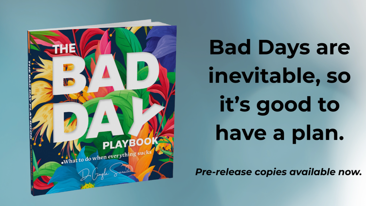 The Accidental Beginning of The Bad Day Playbook