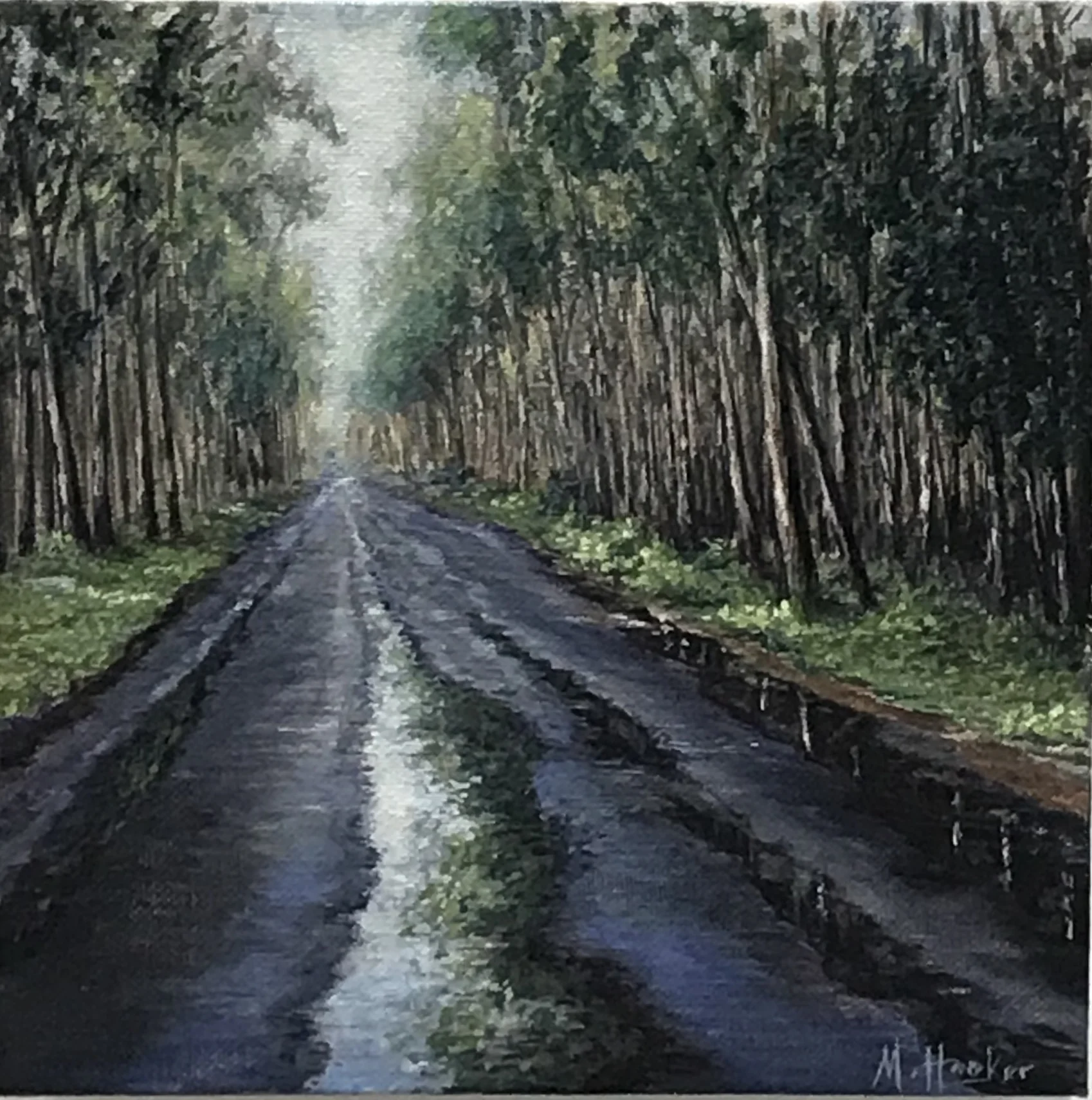 Skinners Shoot, Byron Bay, (2019)