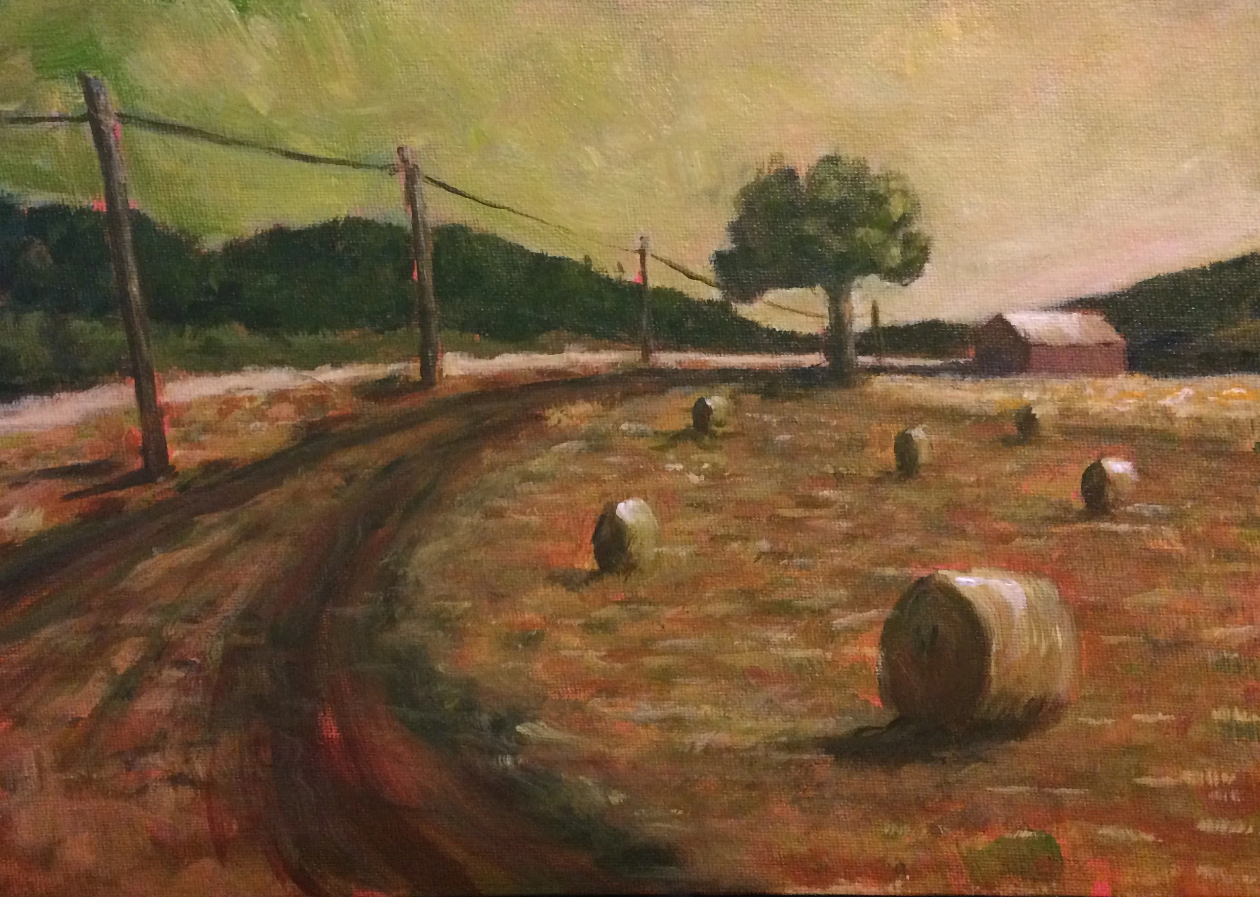 Harvest time, Les Landes, SW France.