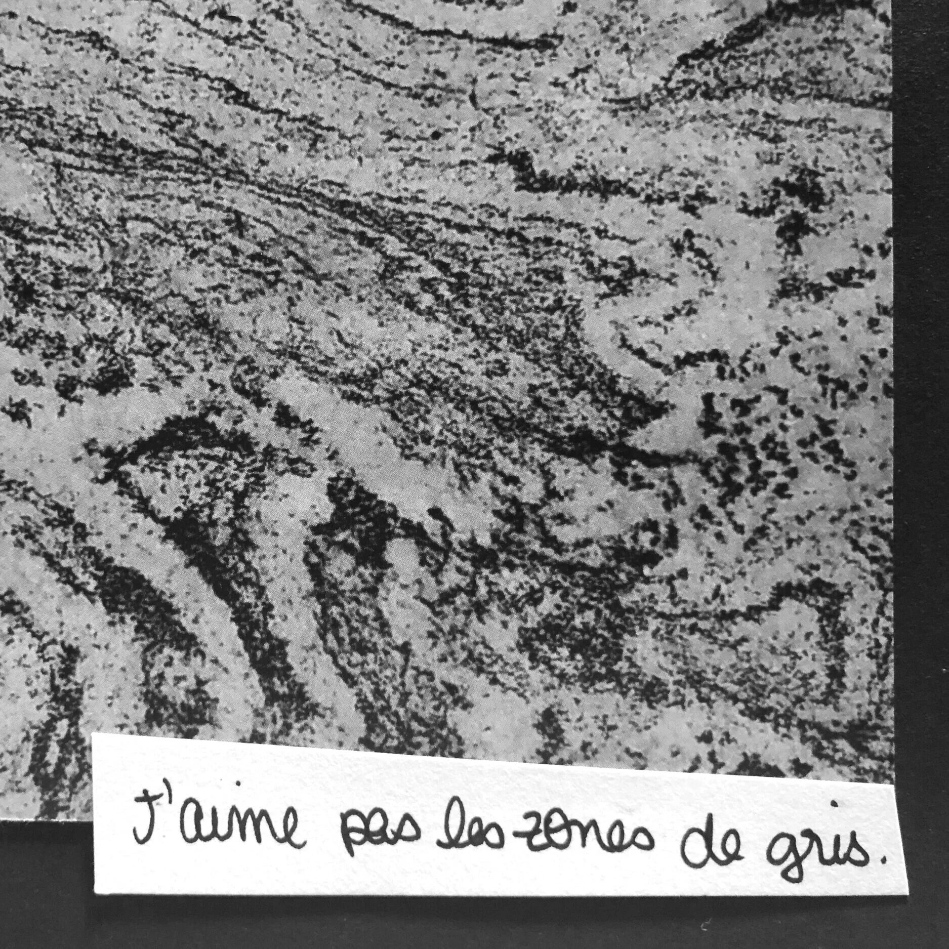 Le vide (des artistes)