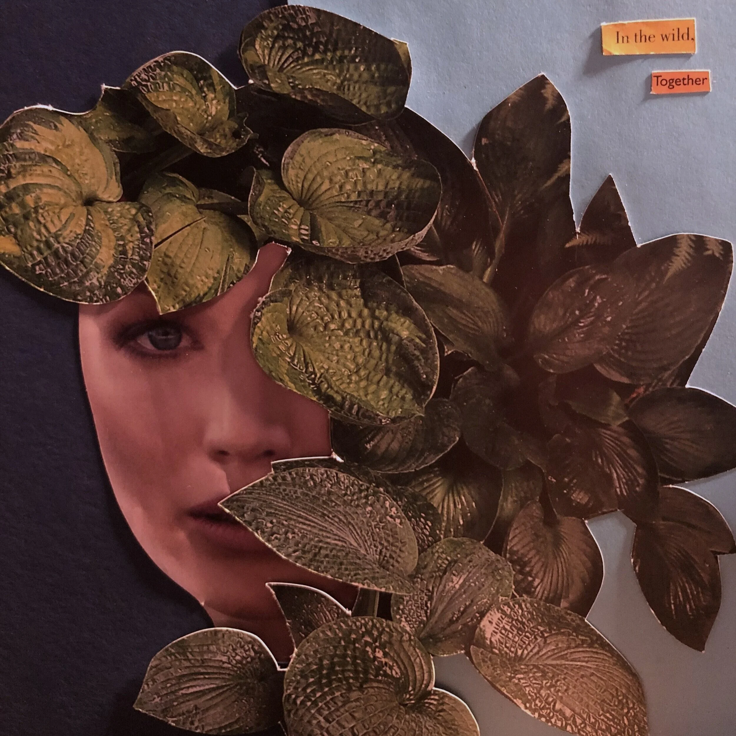 Attention aux artistes aigris