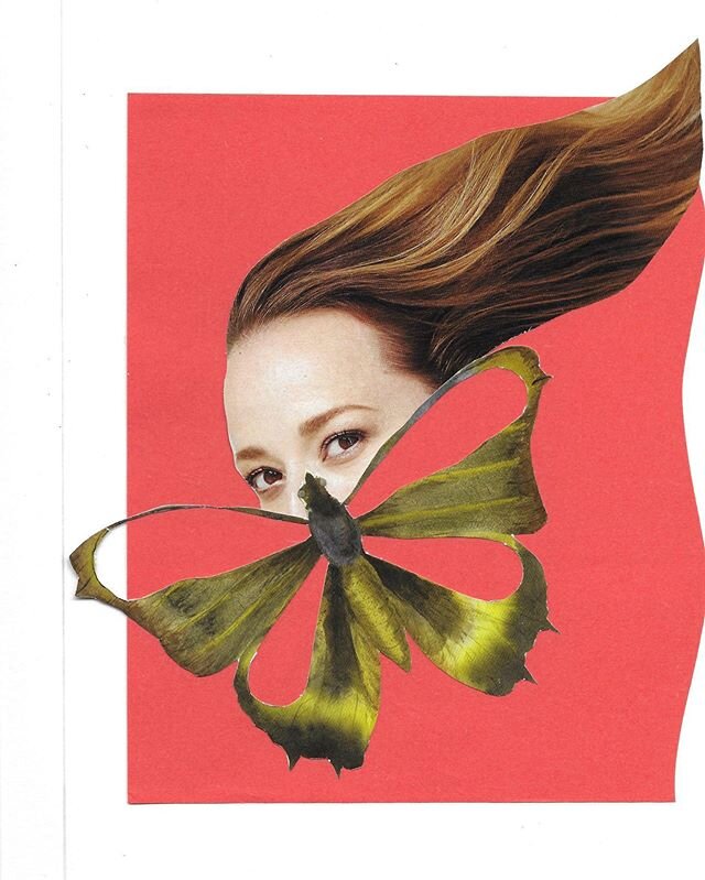 Butterfly effect. #collage #collageart #collageartwork