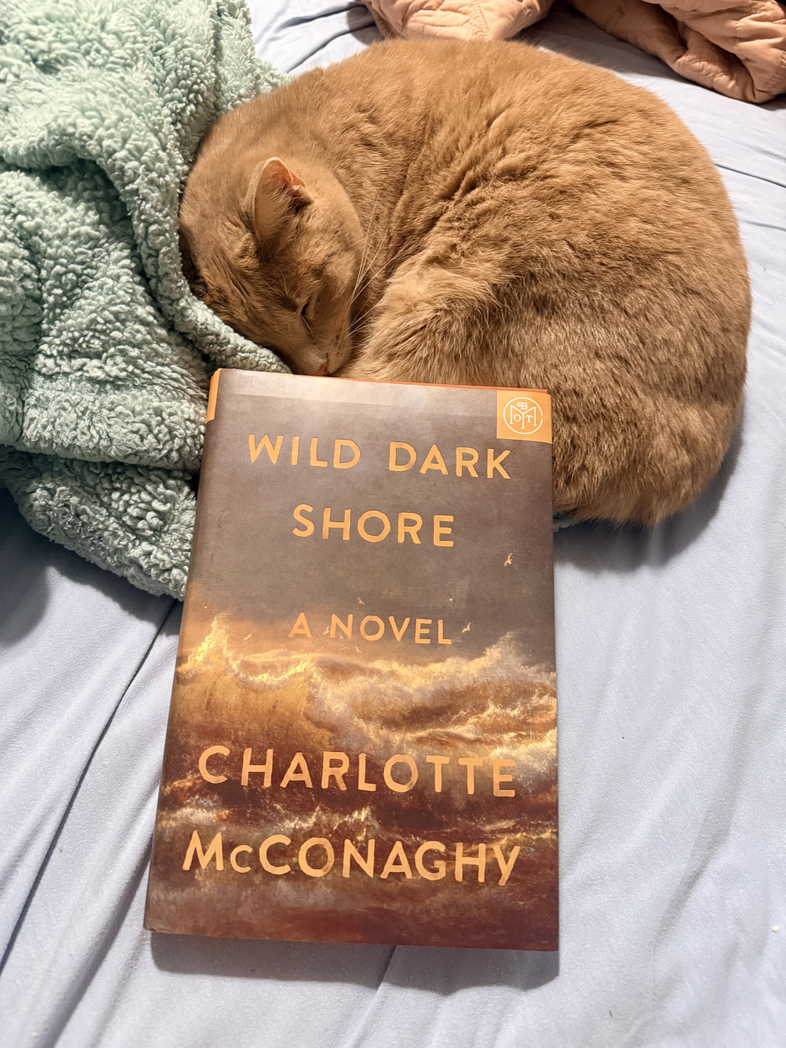Book Review - Wild Dark Shore by Charlotte McConaghy 