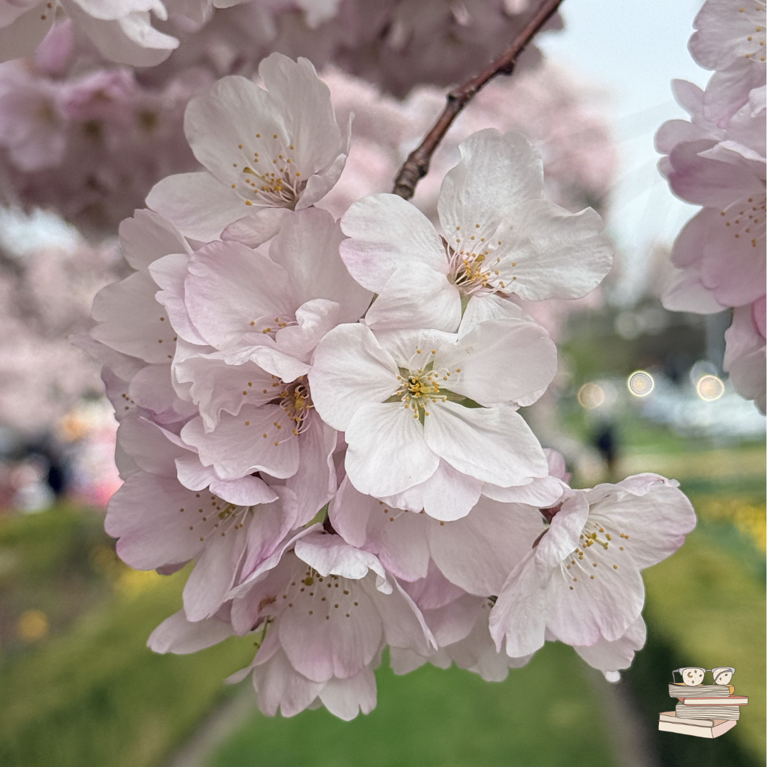 On a Personal Note - The Return of Lifestyle Blogging