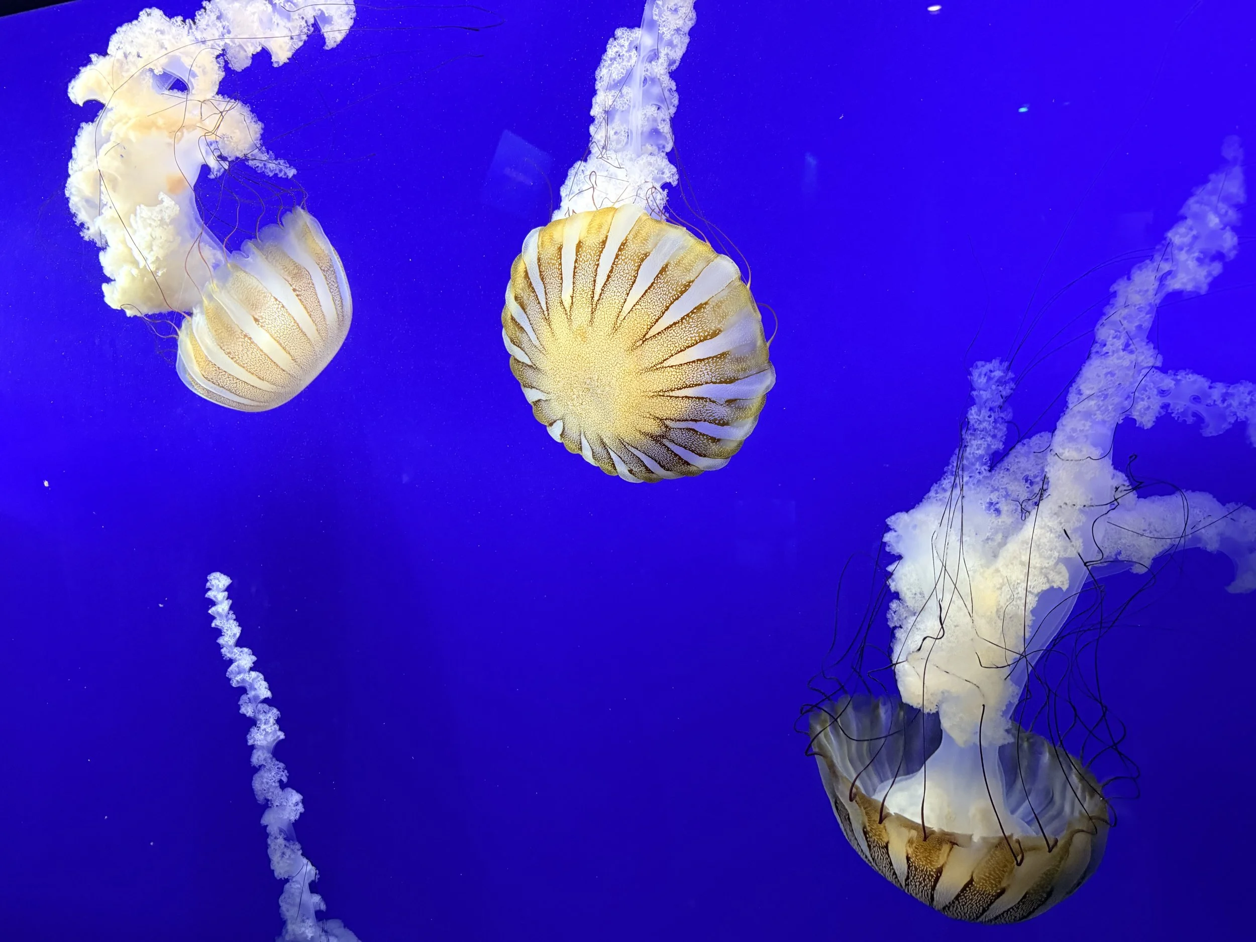 On a Personal Note : Exploring College Towns