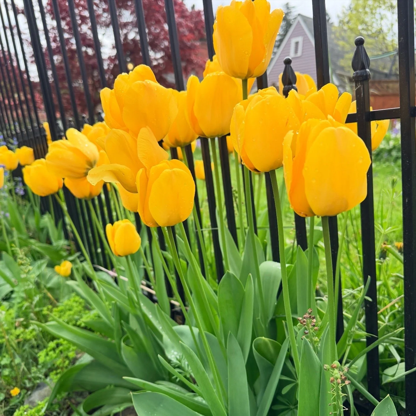 On A Personal Note : Prepping for Graduation