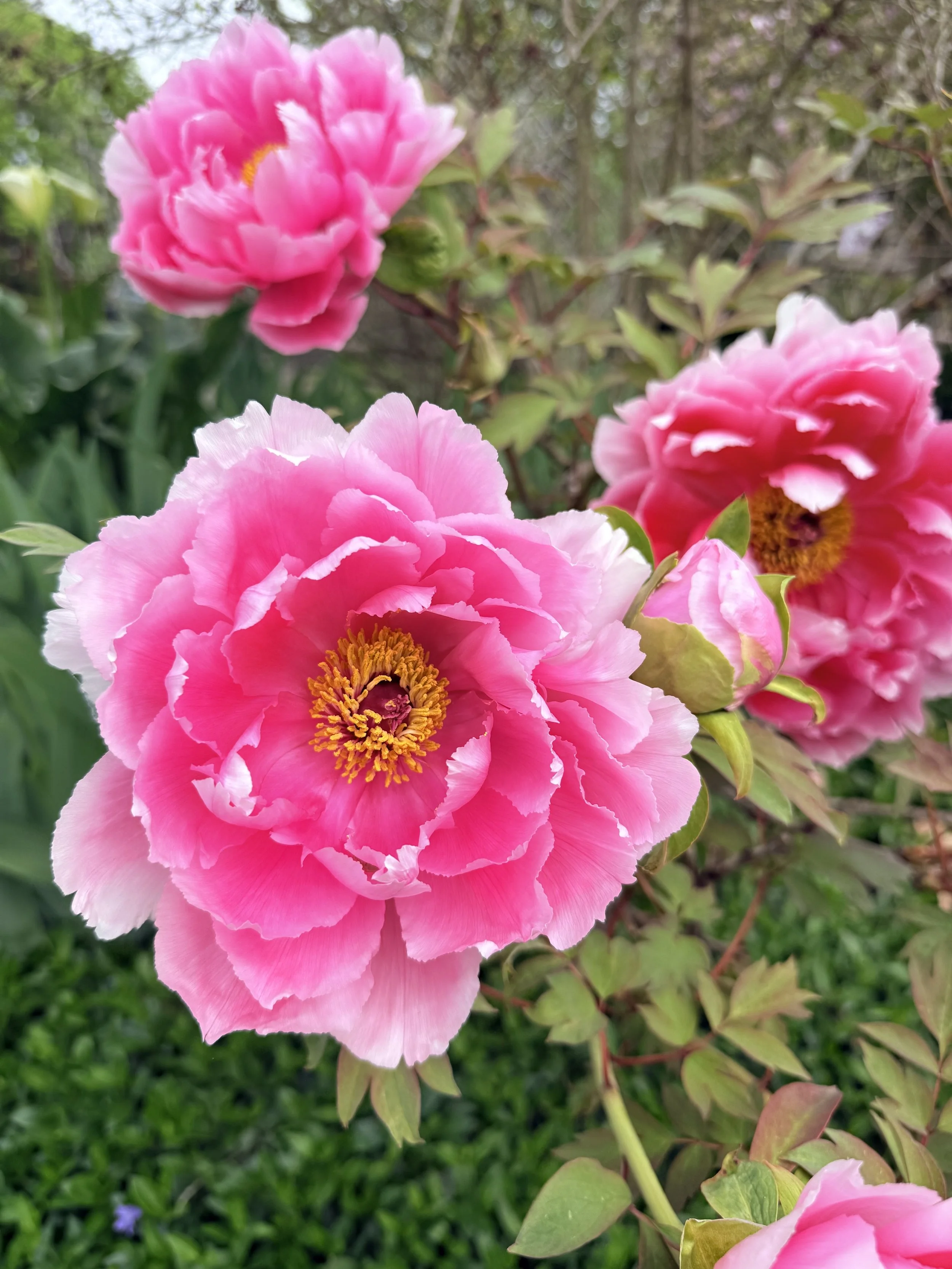 On a Personal Note : Panic Attacks About Work