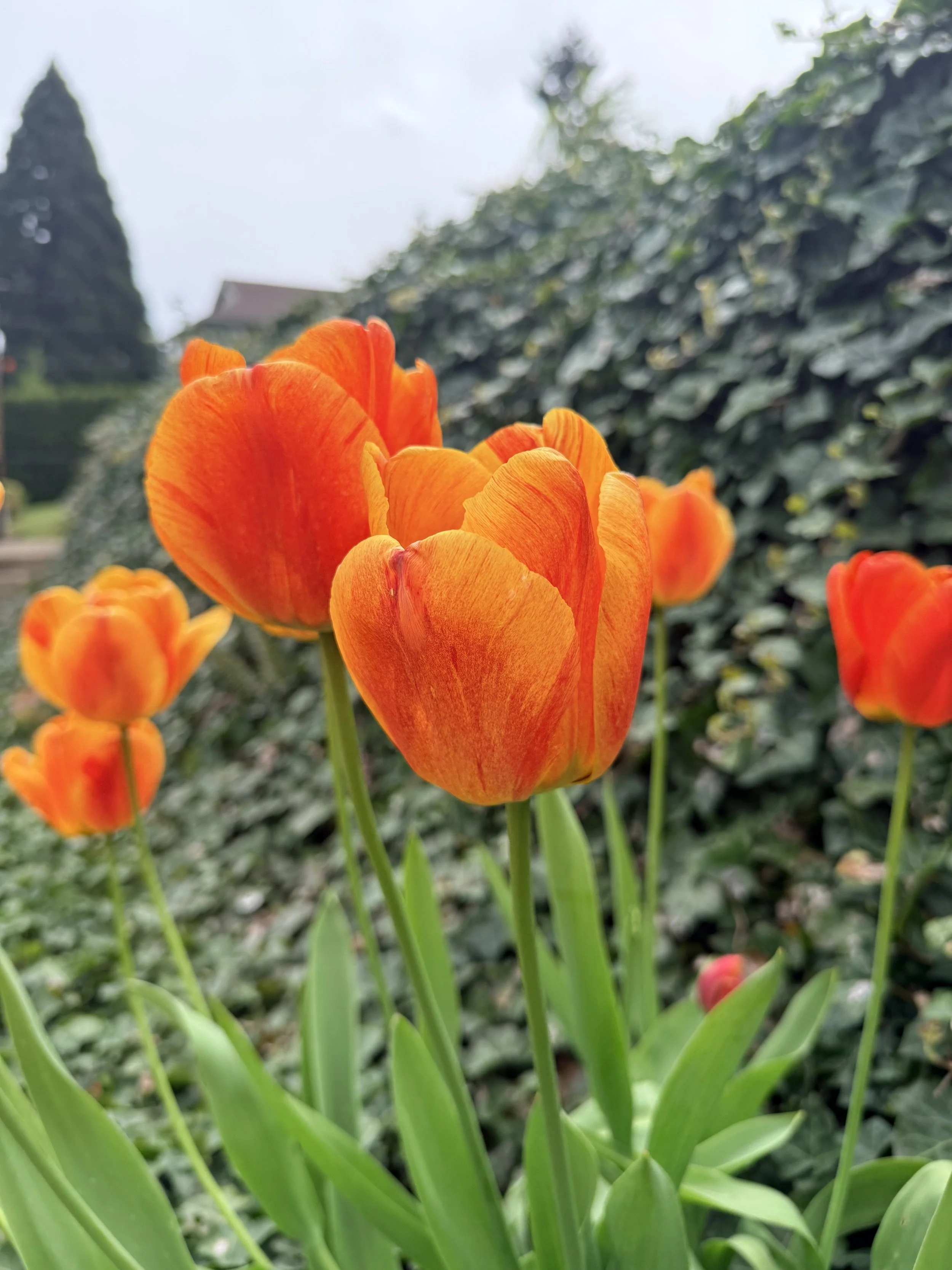 On a Personal Note : Happy May! 