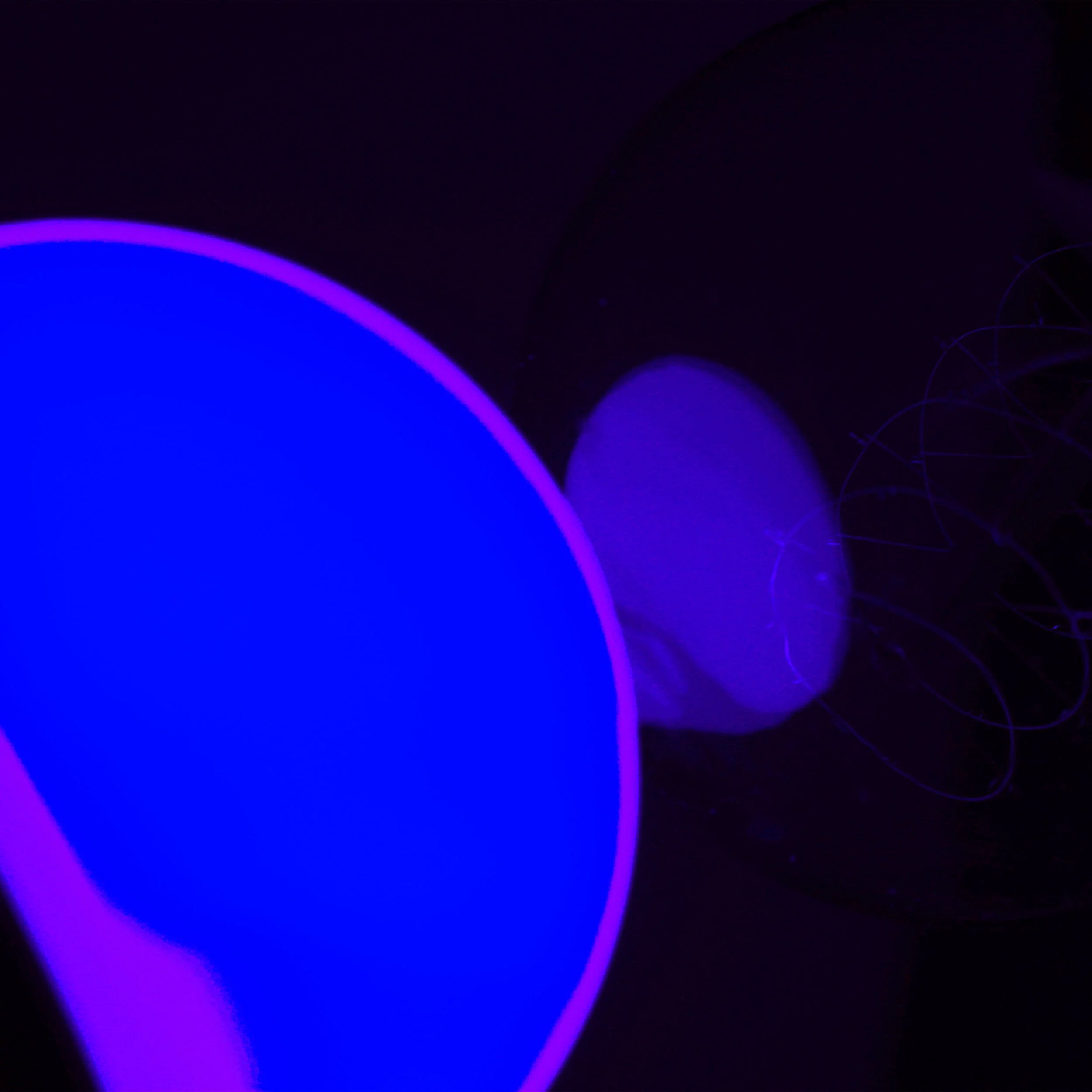 Surrounded by Blue.jpg