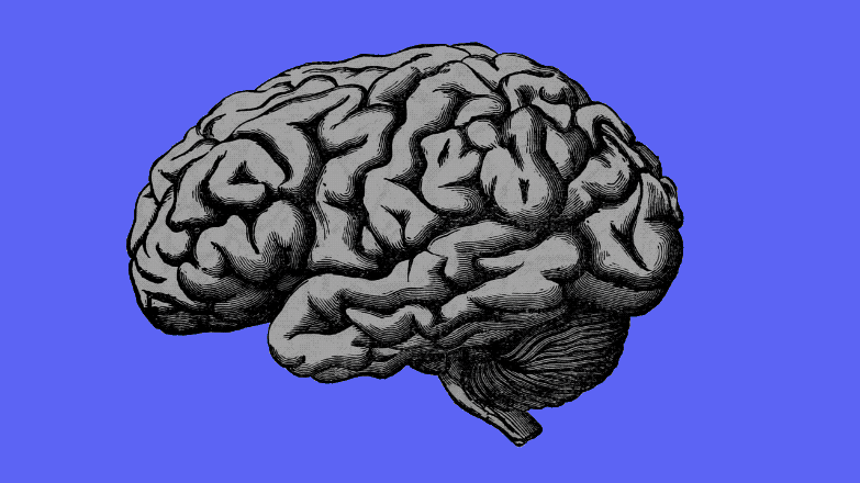    How language shapes our perception of reality   