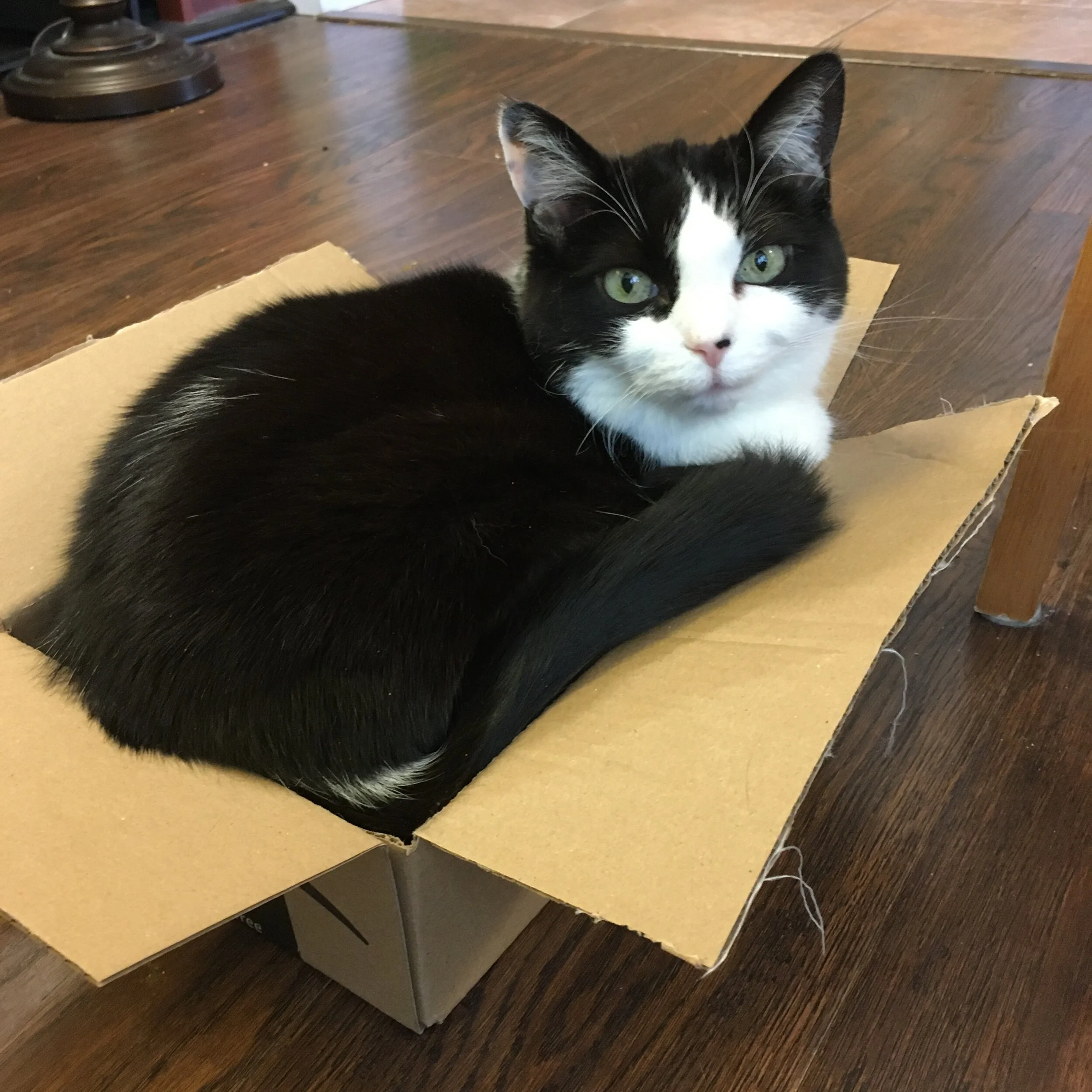 Sensitive Touch; March 22 2020