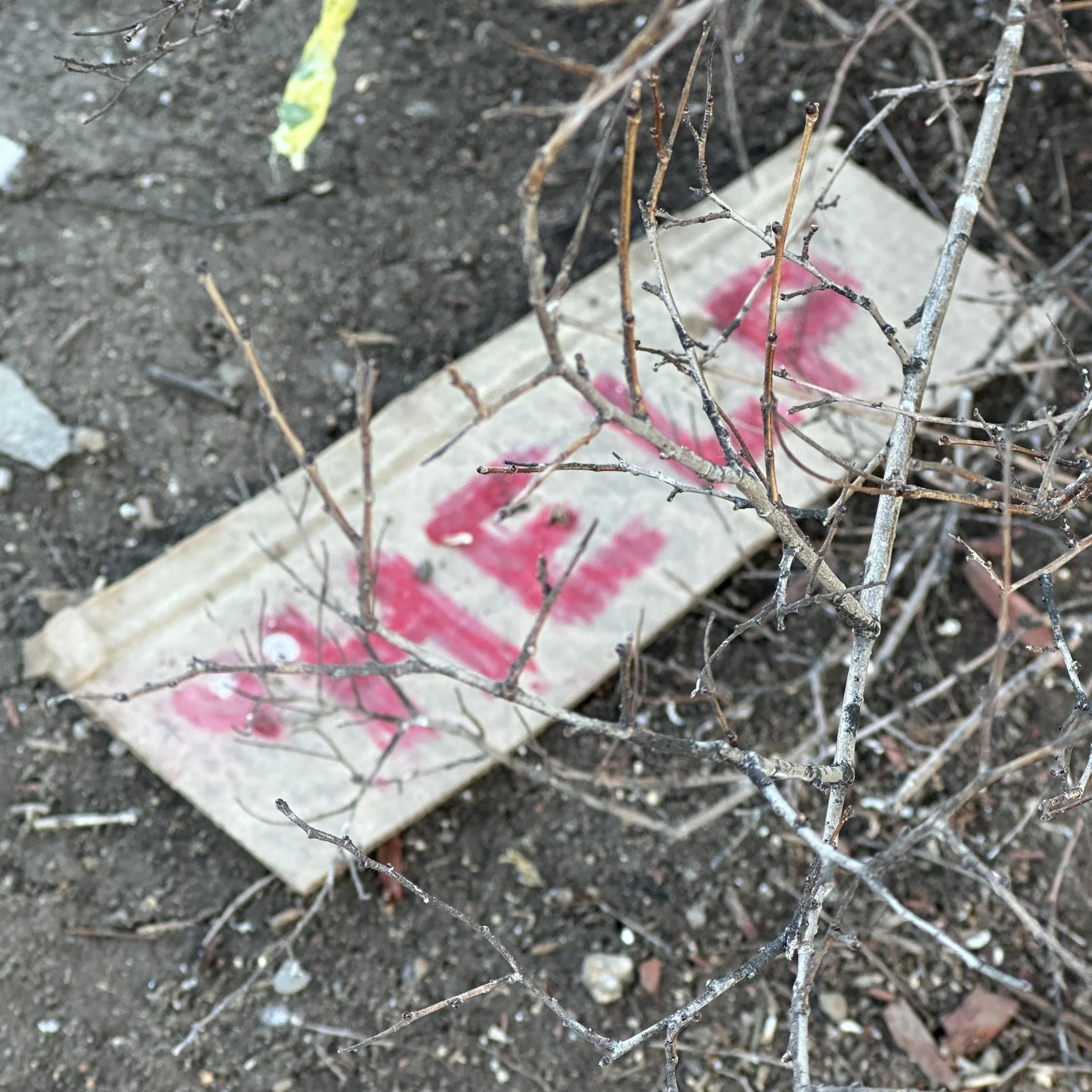 Hope in Horror; March 6 2024