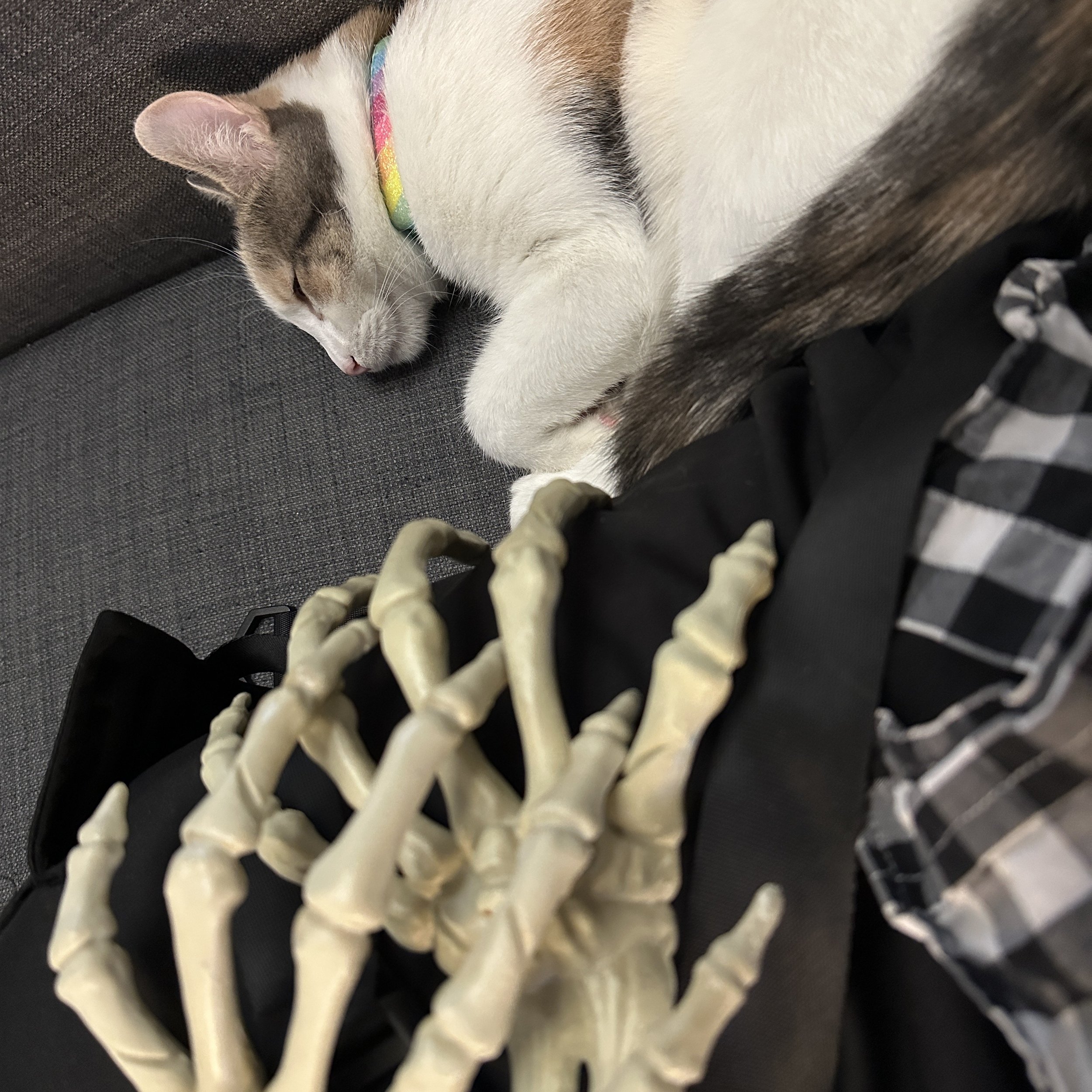 Focus Up; October 29 2025