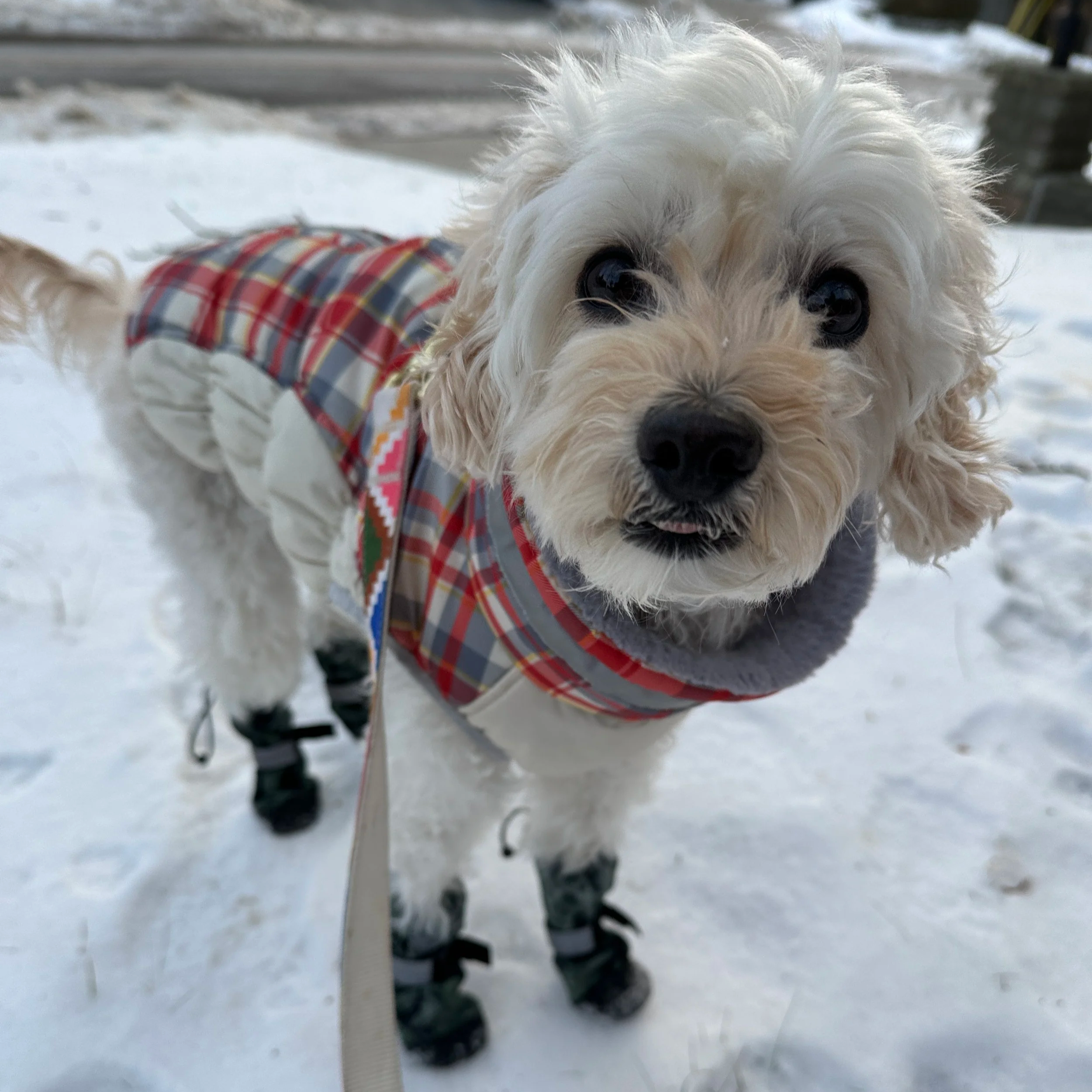 Like Sandpaper; January 7 2026