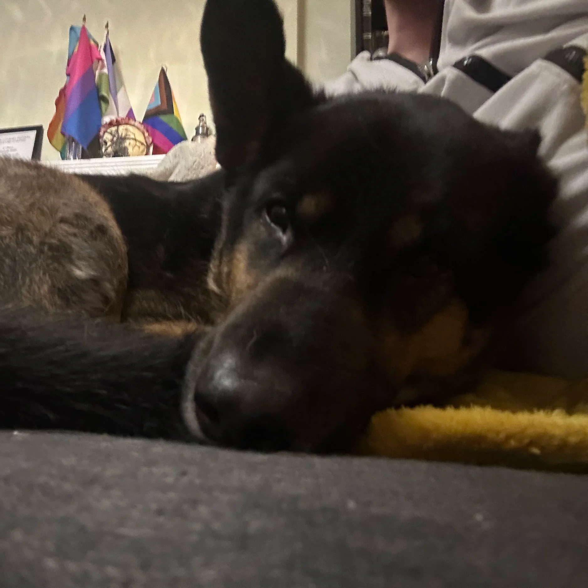 Gifted; January 21 2026