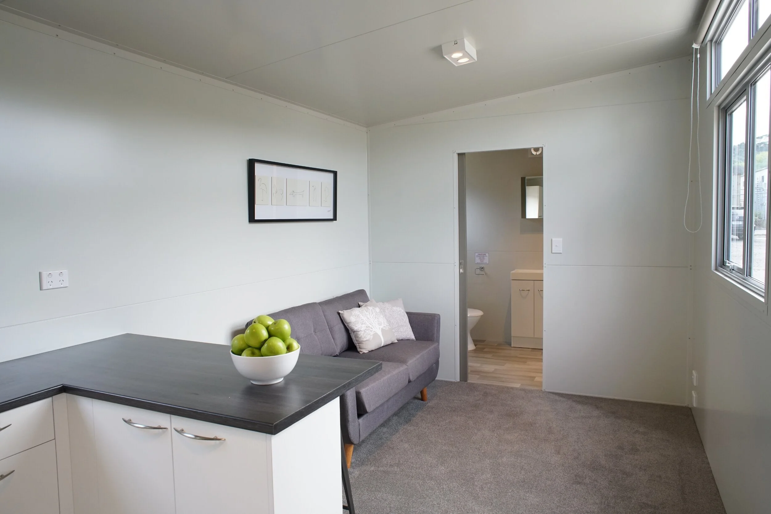 Deluxe One Bed — Low Cost Housing Aotearoa