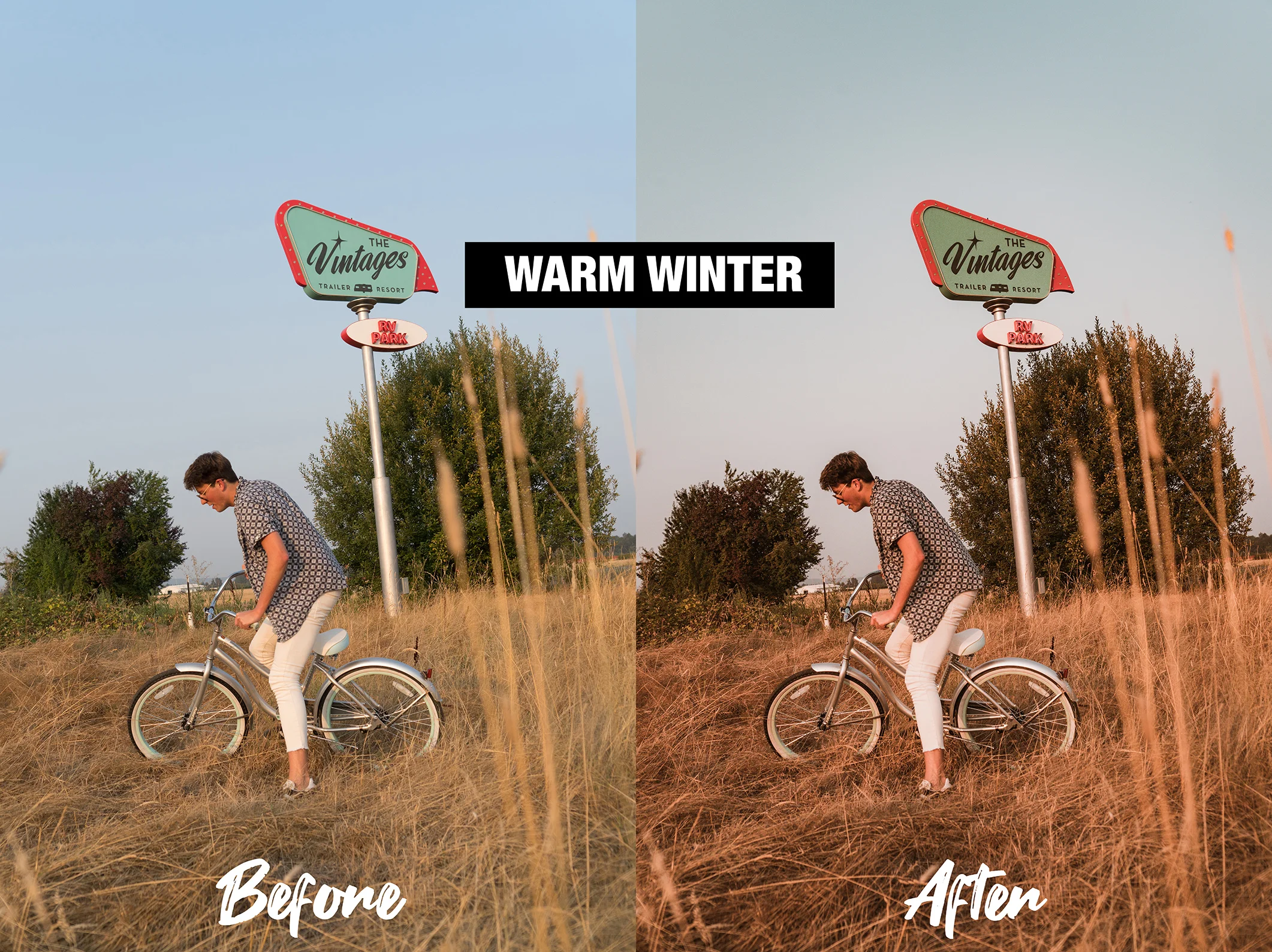 SSwarmwinter2.jpg