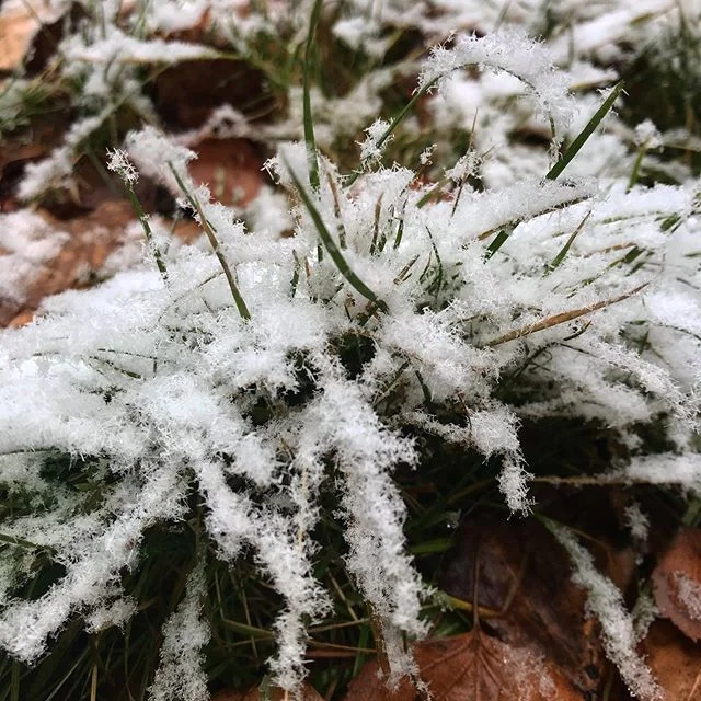 ようやく冬の知らせが届きました。まだまだしっかりとした積雪とはいきませんが、スキー場のオープンが待ち遠しいですね。#冬の足音#乗鞍高原 #norikura