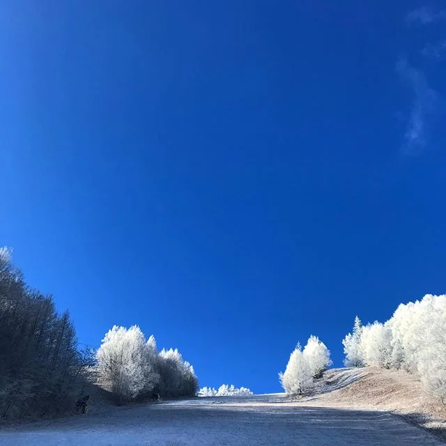 おはようございます。今朝はキン！と冷えましたね。スキー場のスタッフもオープンに向け頑張ってくるてます。#放射冷却#青と白#深呼吸#乗鞍高原#norikura#norikurablue