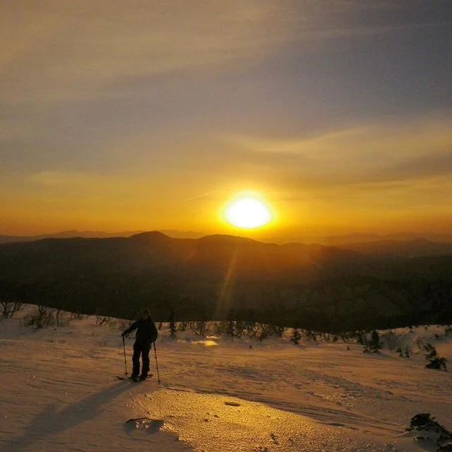 新年明けましておめでとうございます。
　皆さまにとって幸多き一年になりますようご祈念申し上げます。
　本年も相変わらずよろしくお願いいたします。 　山水館信濃　スタッフ一同