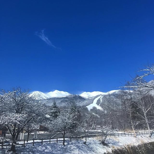 こんにちは。
４月半ばです^^; 雪の華が満開です。

皆さんにこの澄んだ空気の中で過ごしていただけるよう、今は一日も早く収束してくれるのを願うだけです。

こういう状況で疑心暗鬼になりがちですが、距離は離れても気持ち、思いは離れず、チョット意味は違いますが、#つかず離れず  でお過ごしいただけたらと思います。

皆さんの#ココロとカラダの健康 が保たれますように。

@norikurakogen