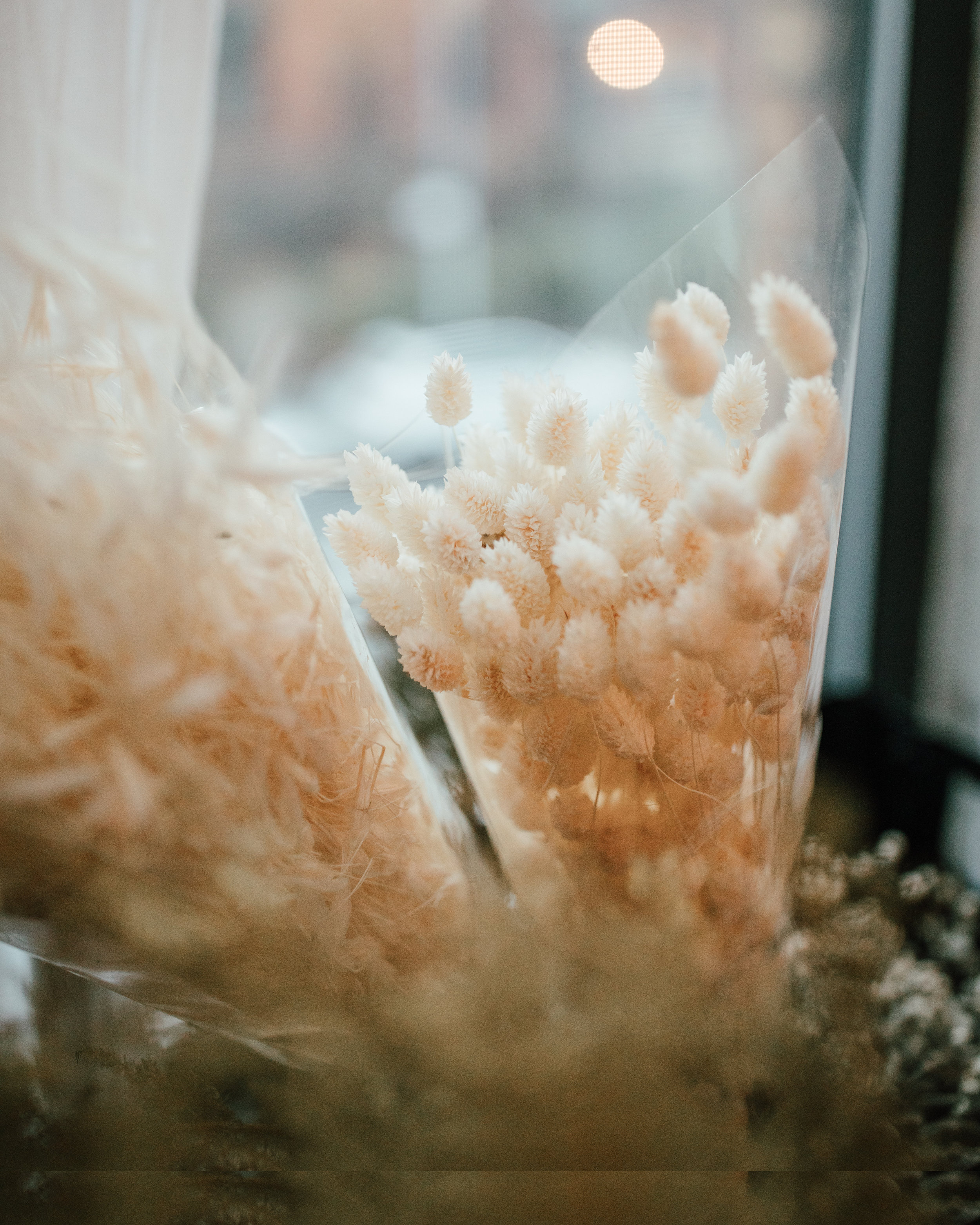 demurela-feroxstudio-madewell-8.jpg