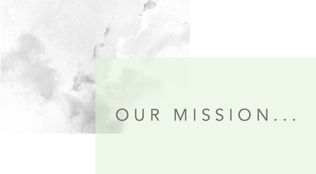 life-beyond-the-recipe-mission-awareness-intention.png