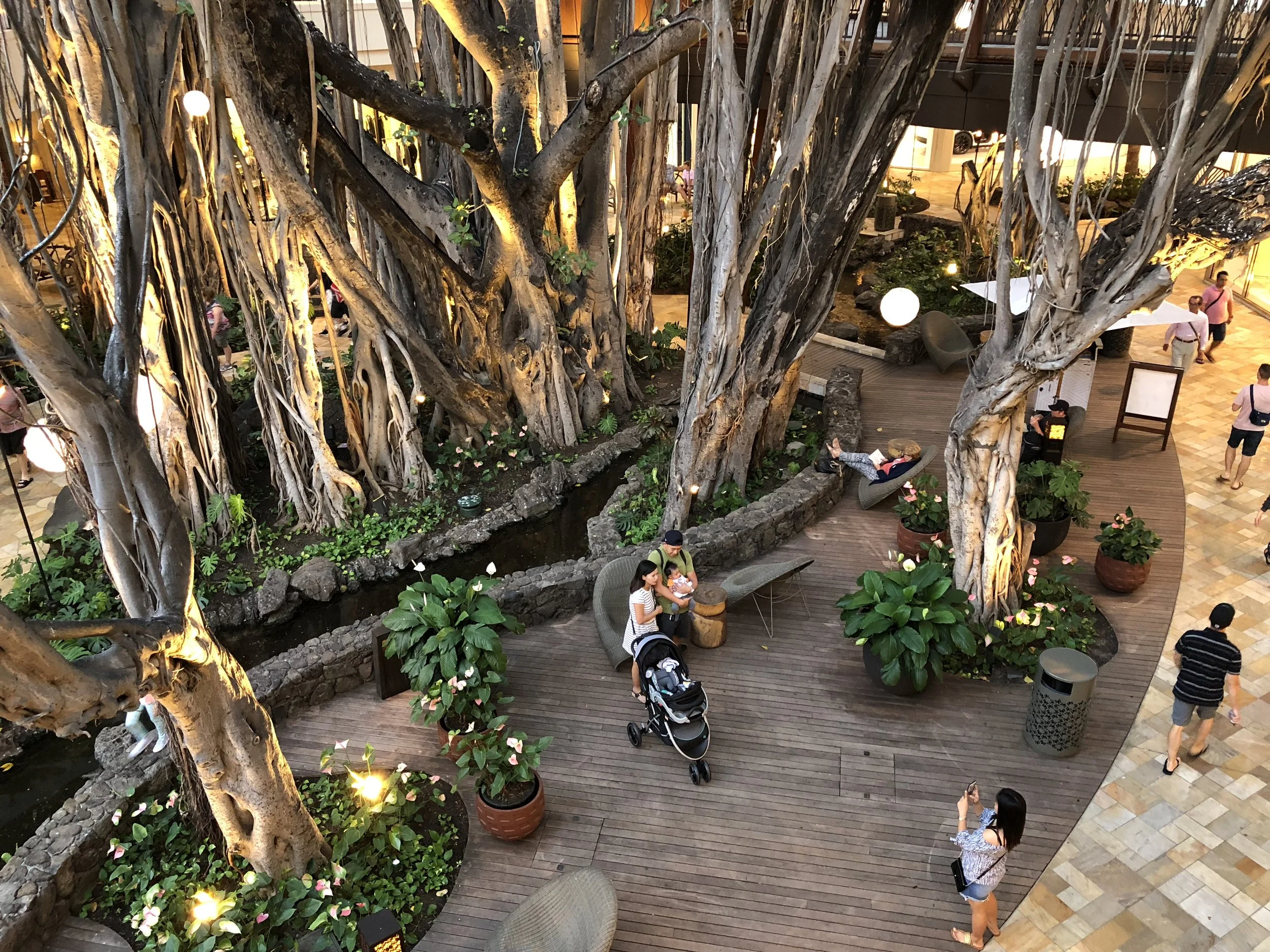 6-IMG_1148-F opt.JPG