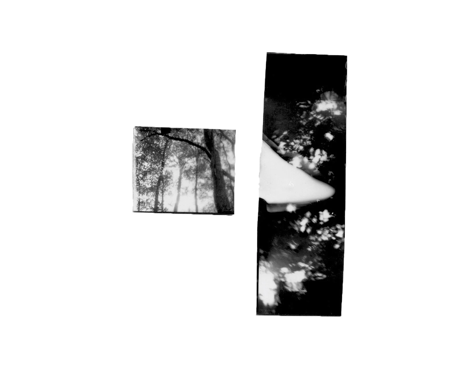 Quiet House Collage