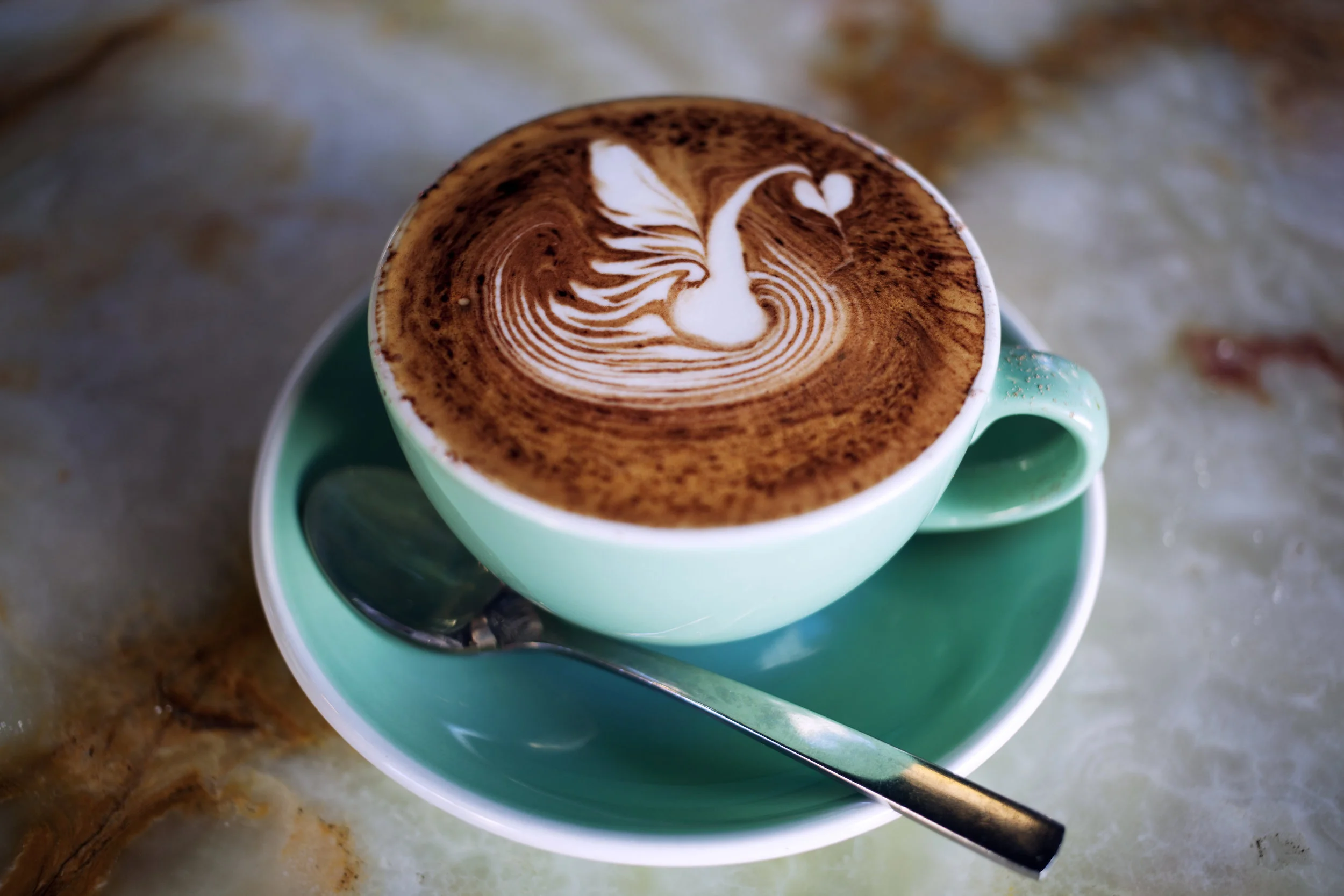 Coffee Swan.jpg
