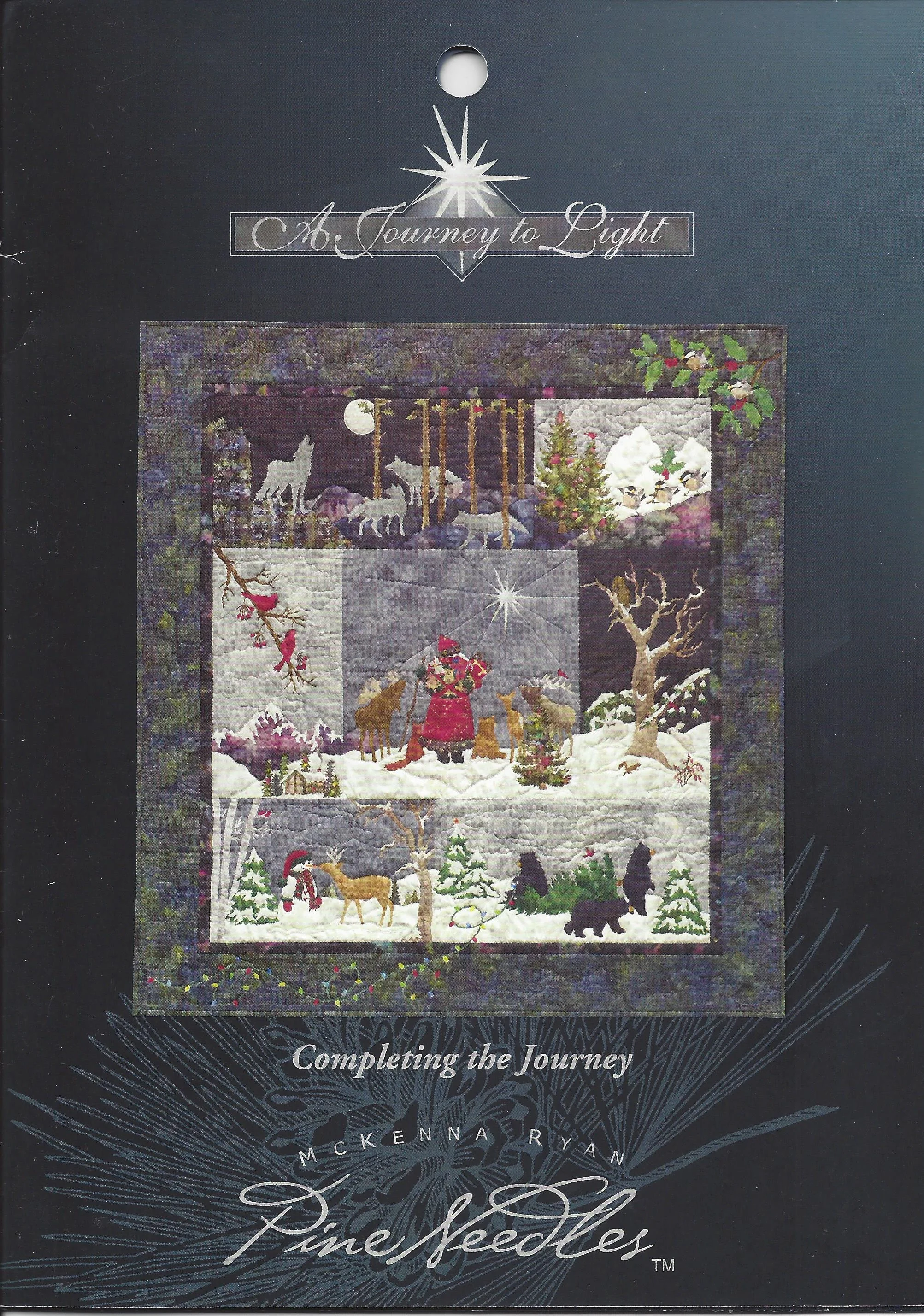 A Journey to Light - Completing the Journey