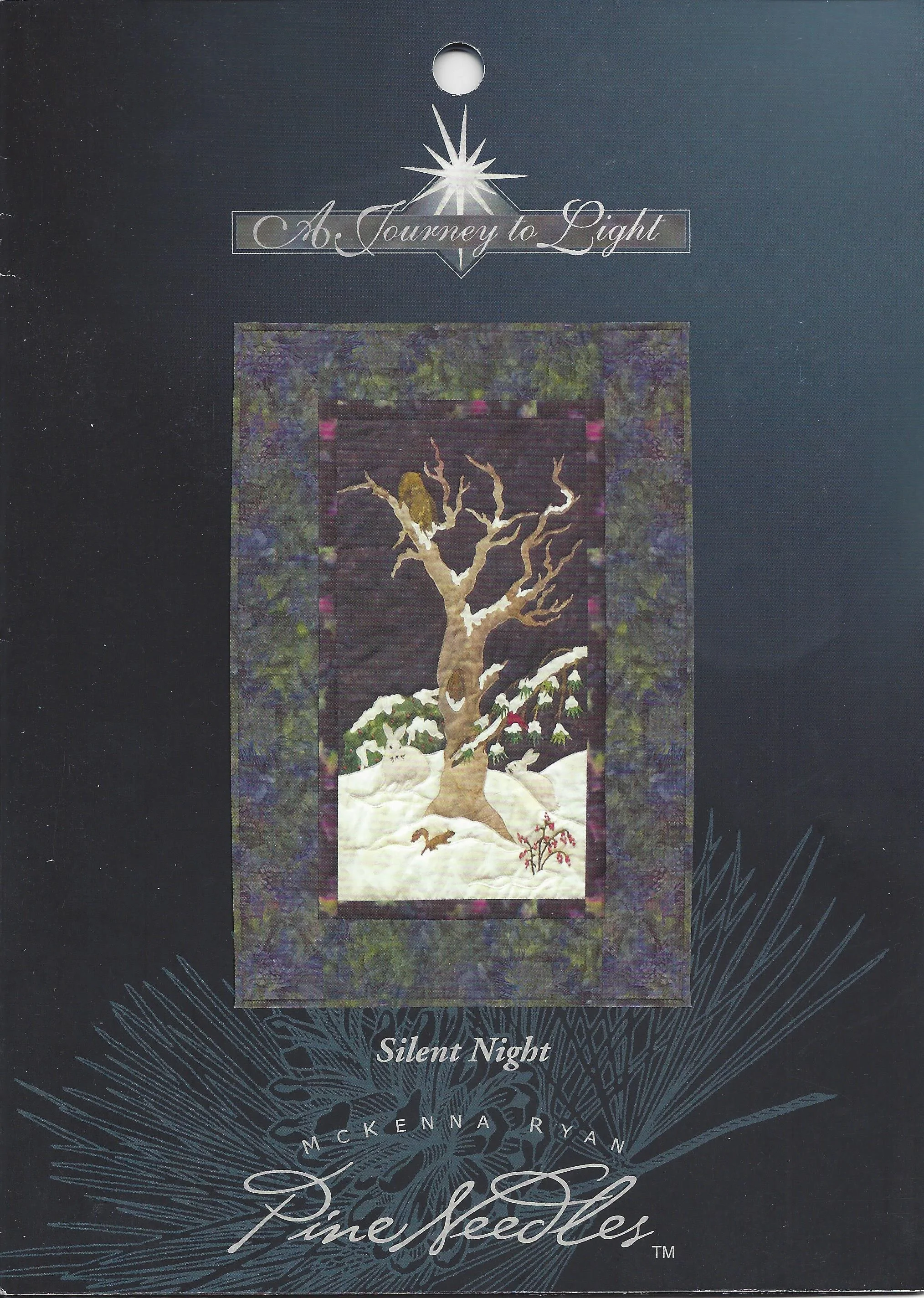 A Journey to Light - Silent Night