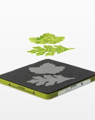 55392 GO! Rustling Leaves #4- Maple and Oak (Small) Die