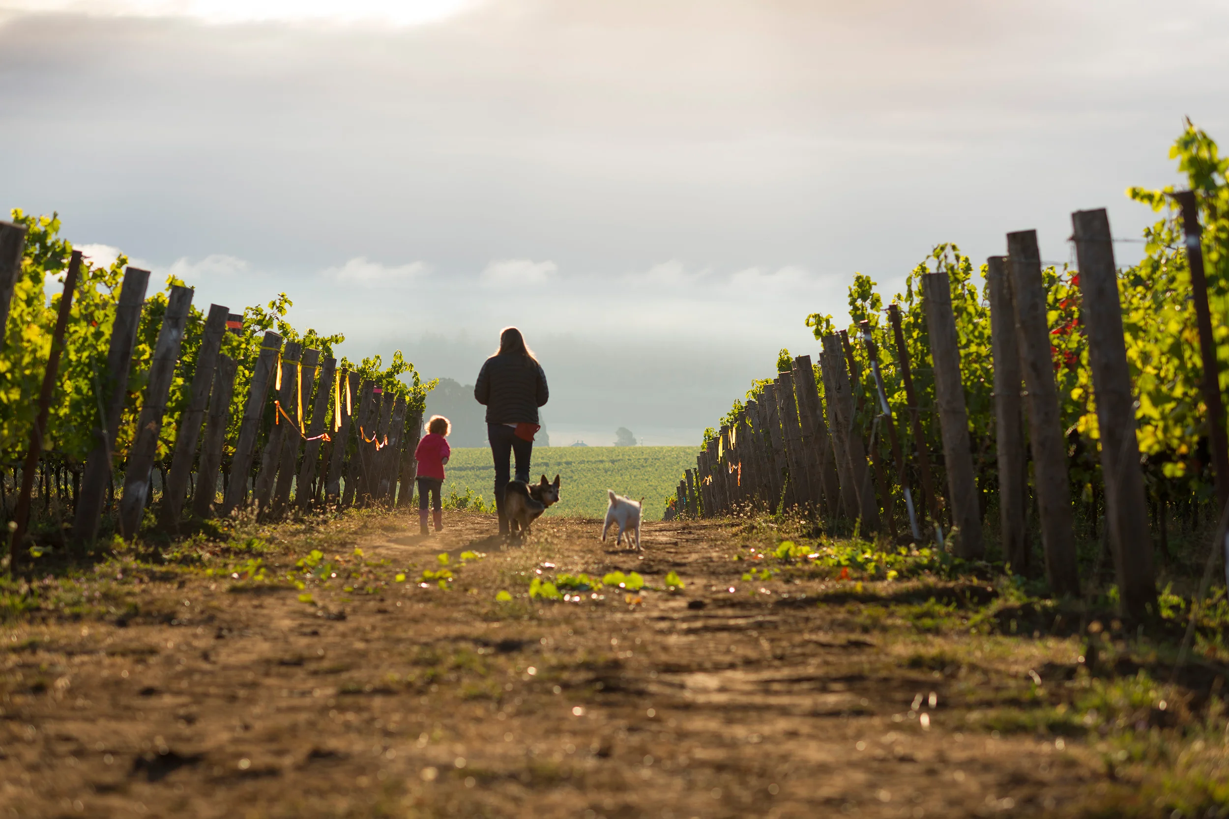 erica&lucy_vineyard_web.jpg