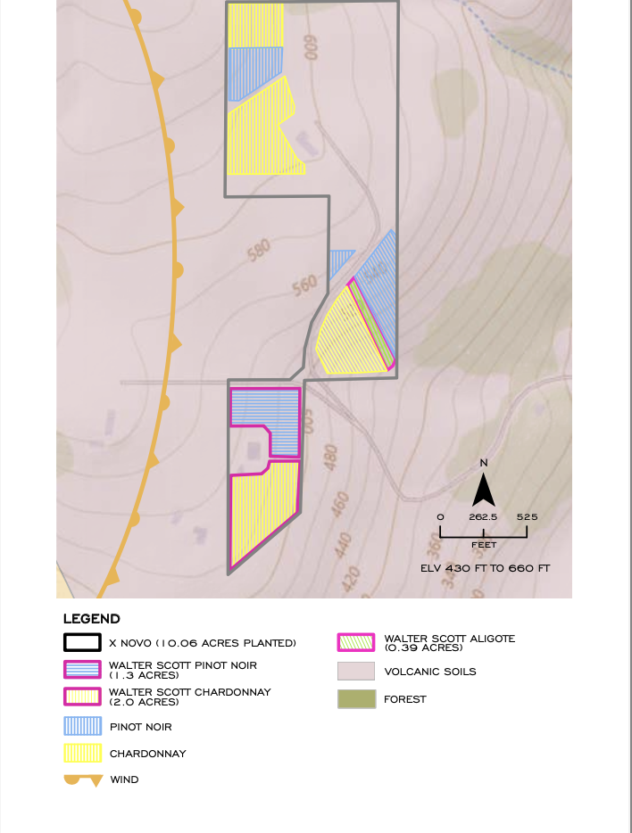 X Novo Vineyard Map.png