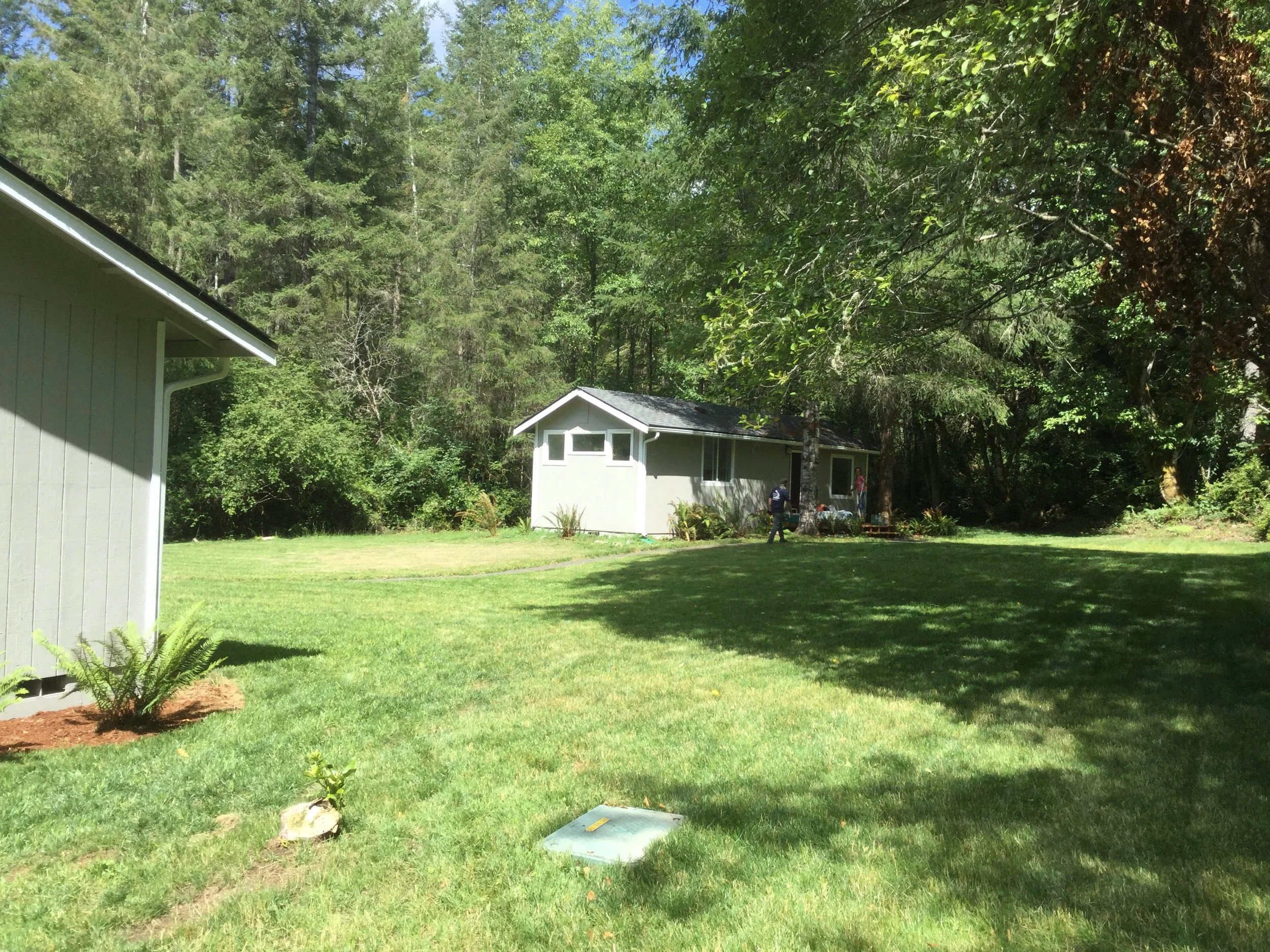 Backyard restored lawn and cabin.