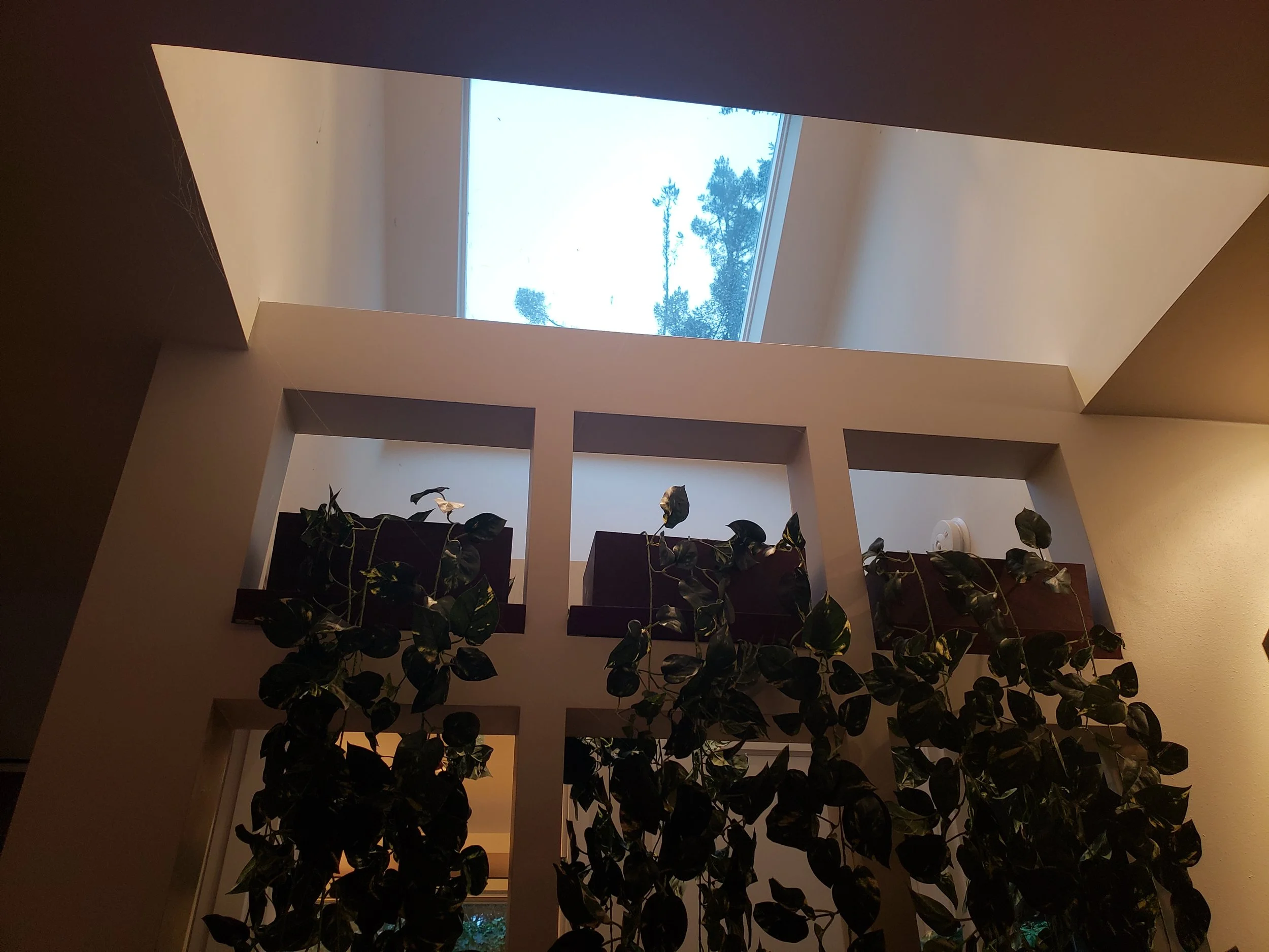 Screen Wall looking up.JPG