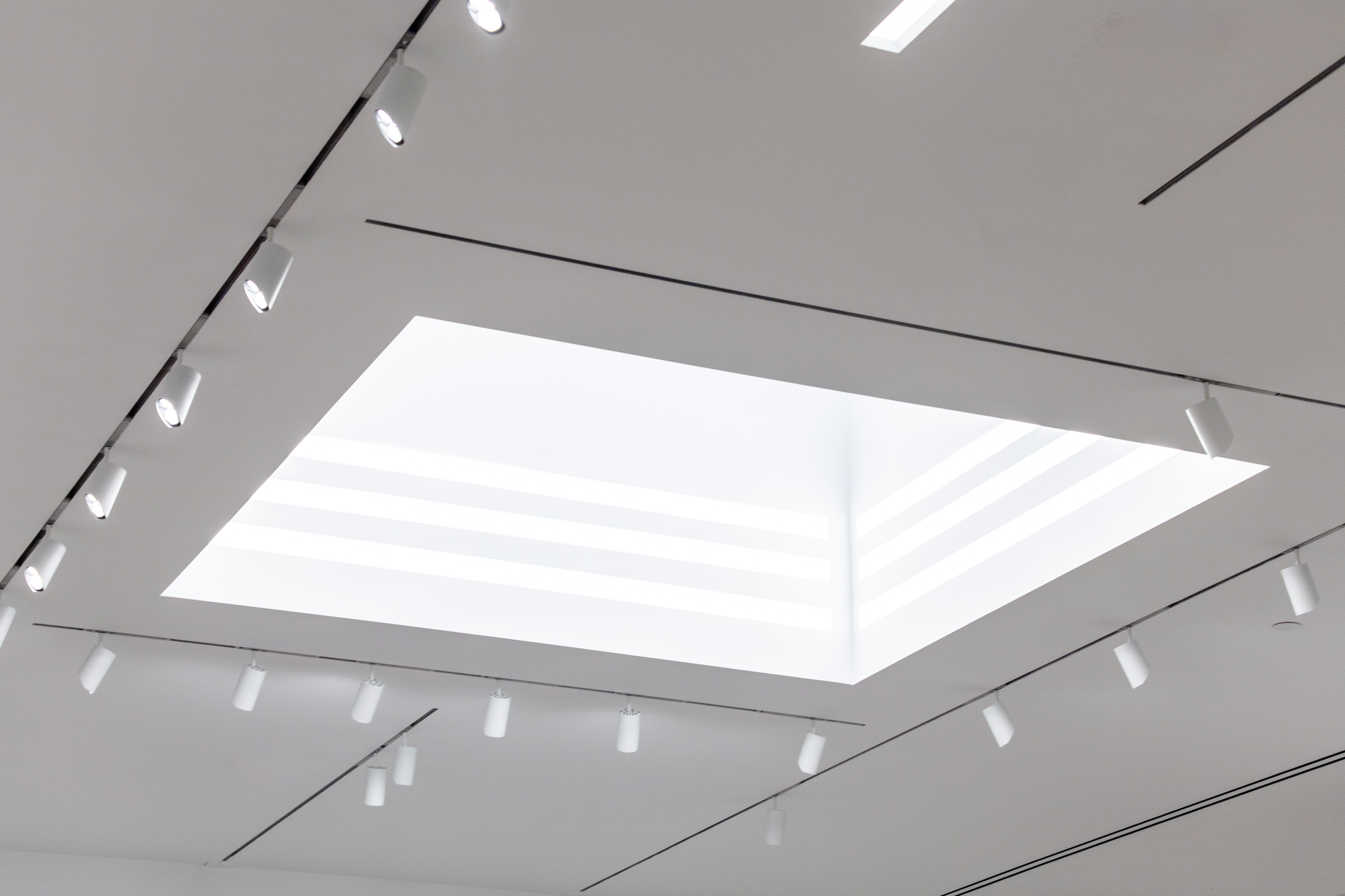 Gallery Lighting, 2025