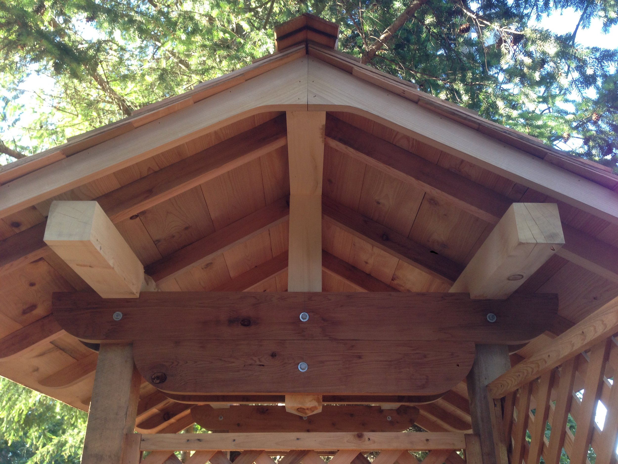 untitled shoot-3182.jpeg