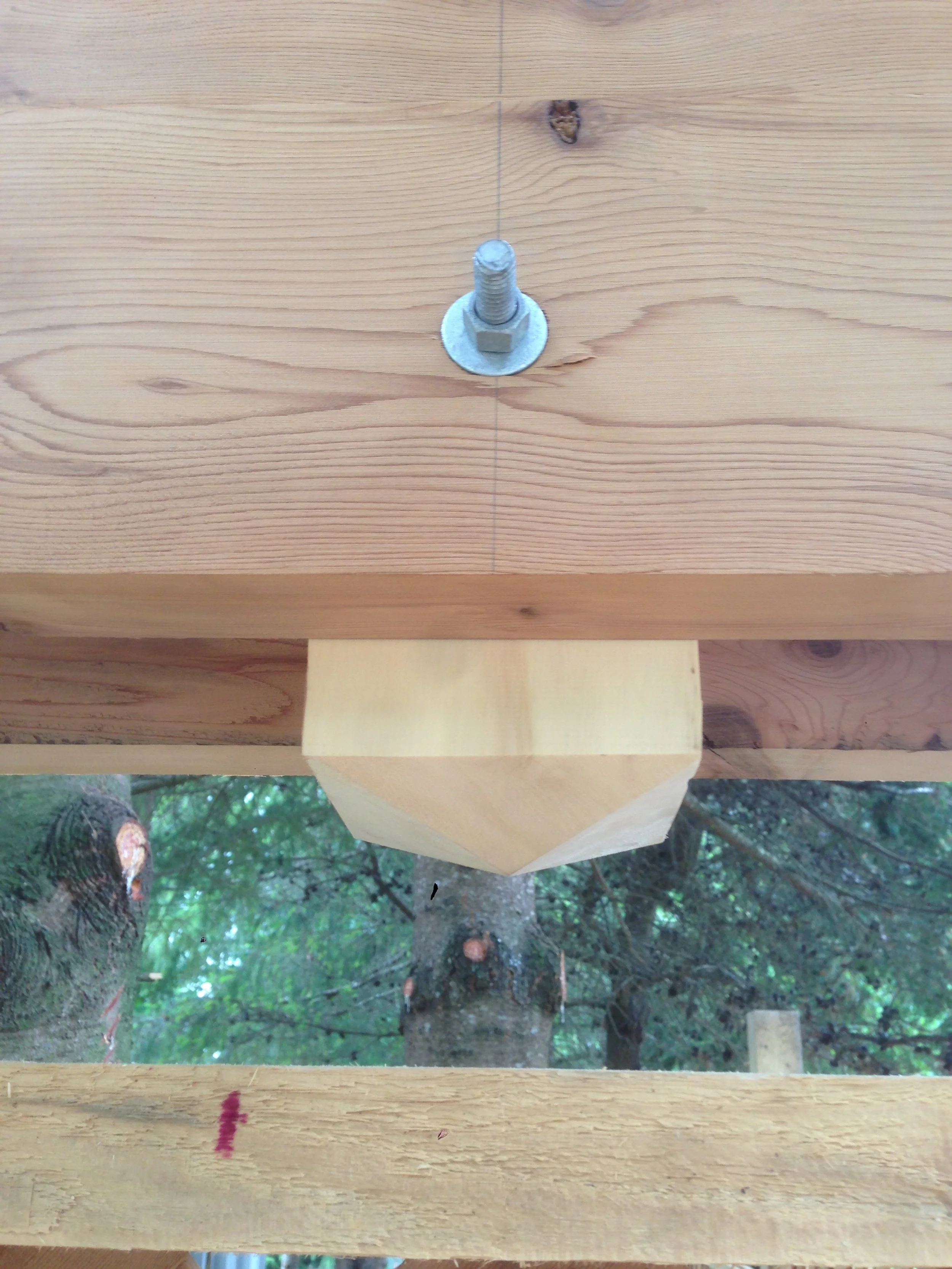 untitled shoot-3146.jpeg